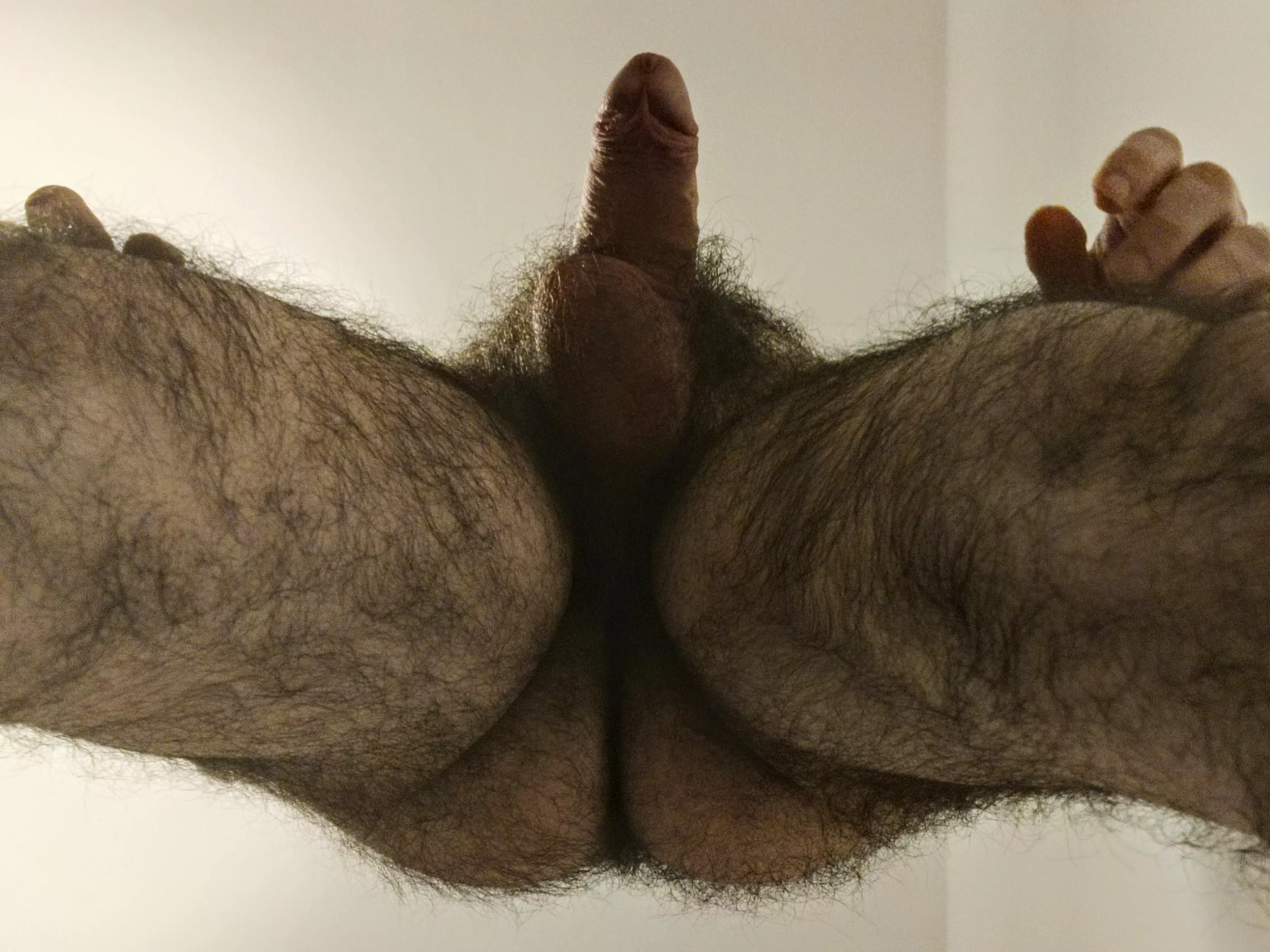 Is it all hairy enough?