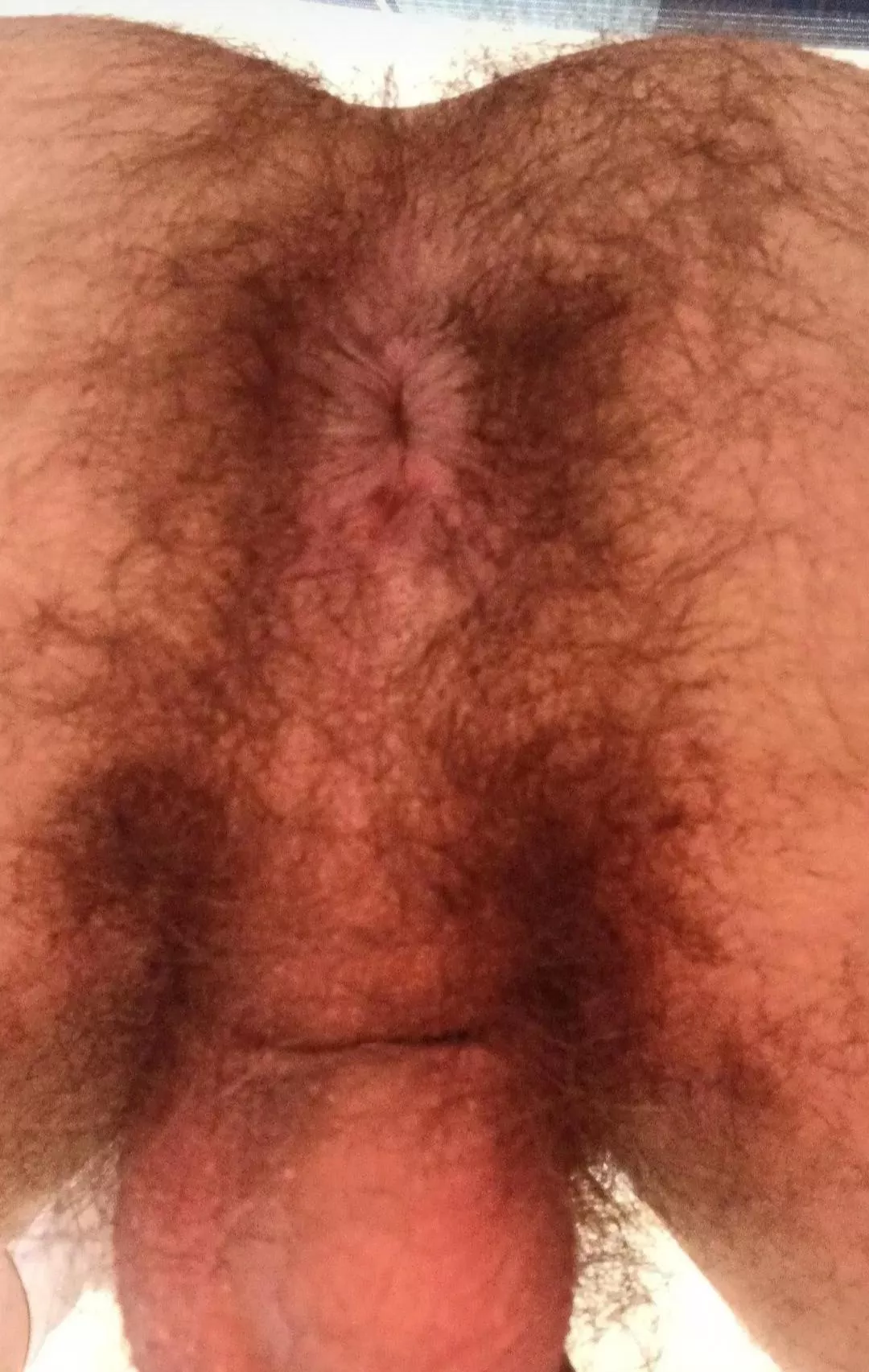 Is it hairy enough for you?