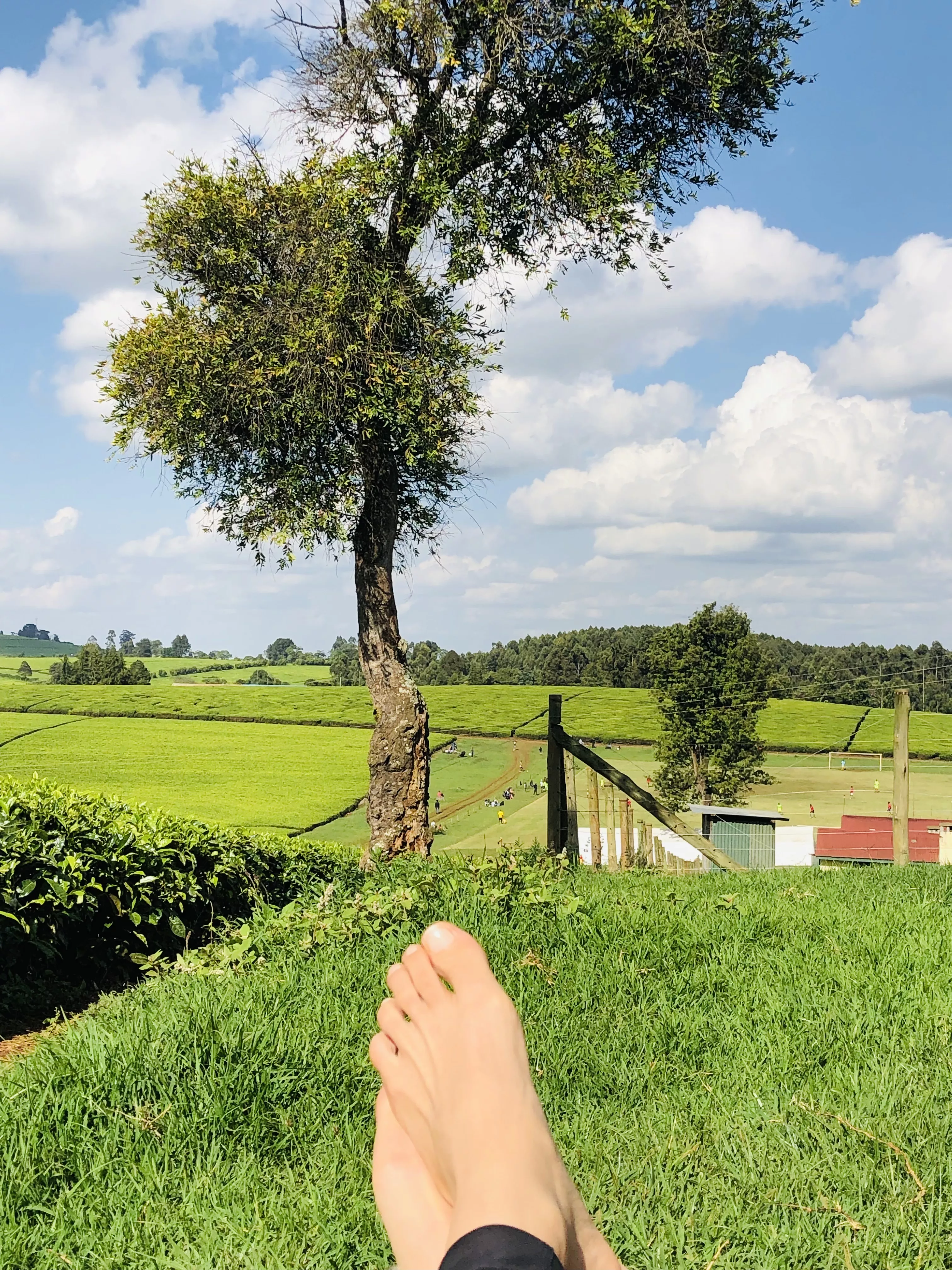 is my feet as beautiful as the view?