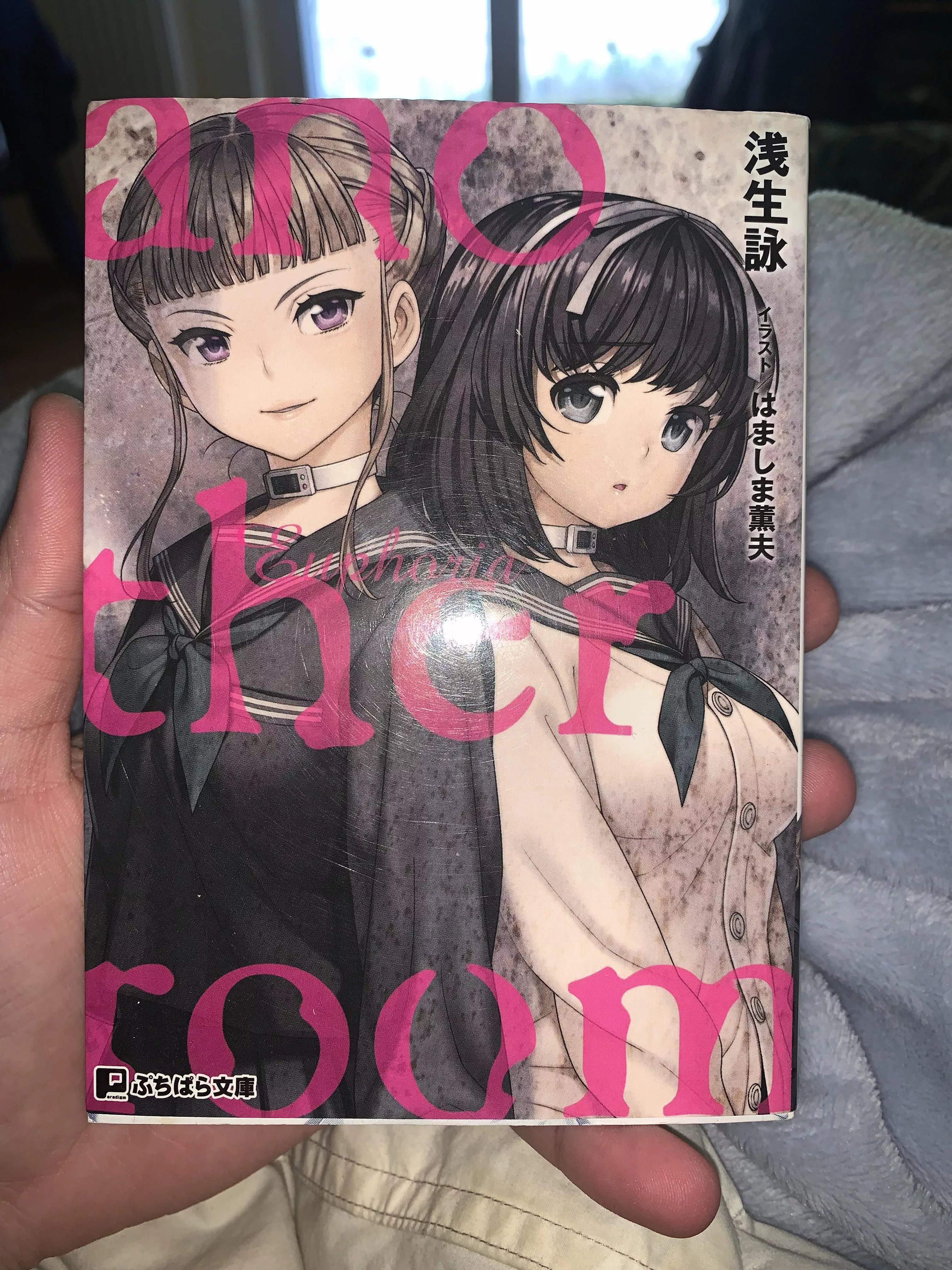 Is this rare? The official Euphoria Light Novel (Another Room)