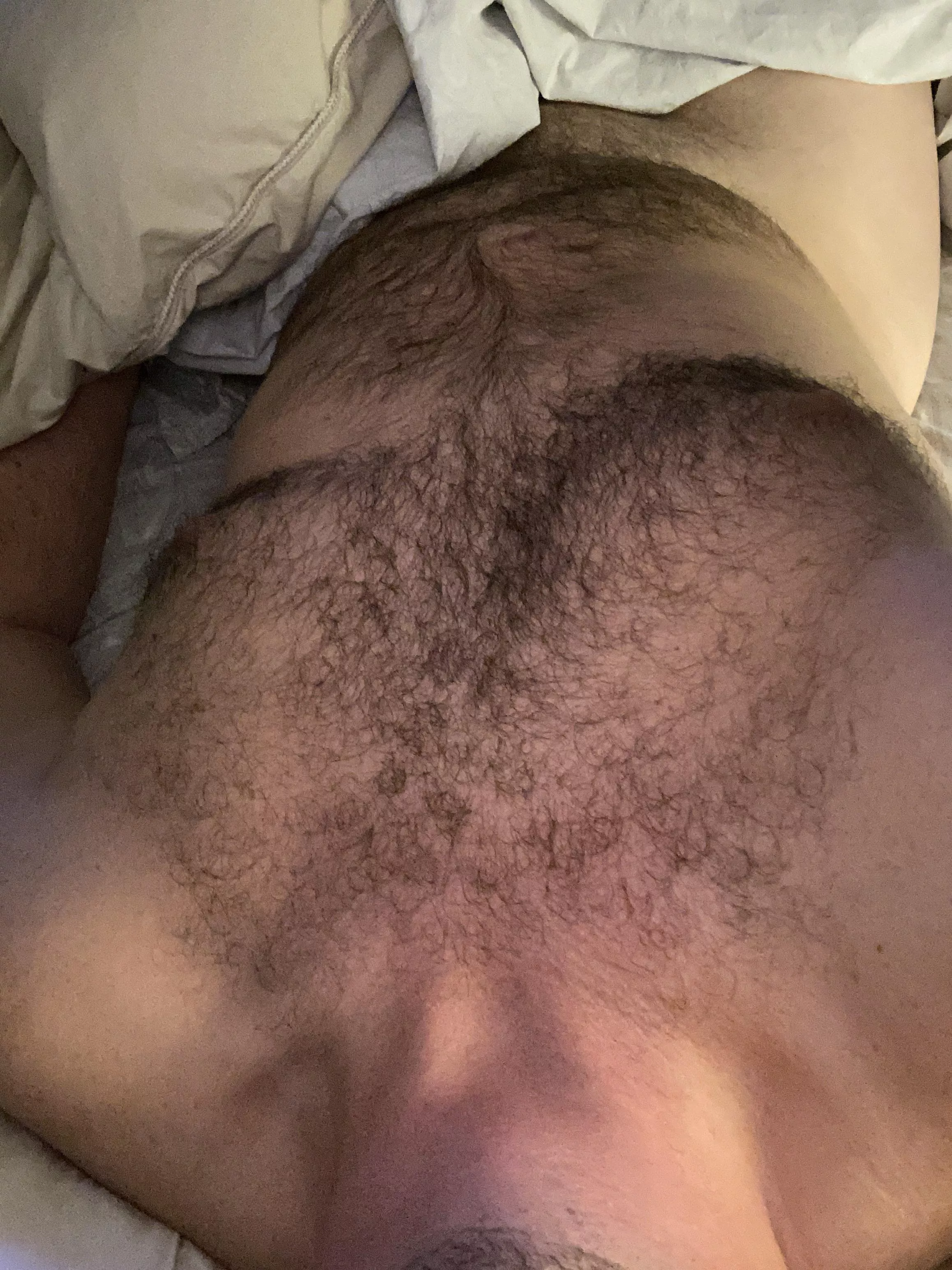 Join a hairy average boi ?!