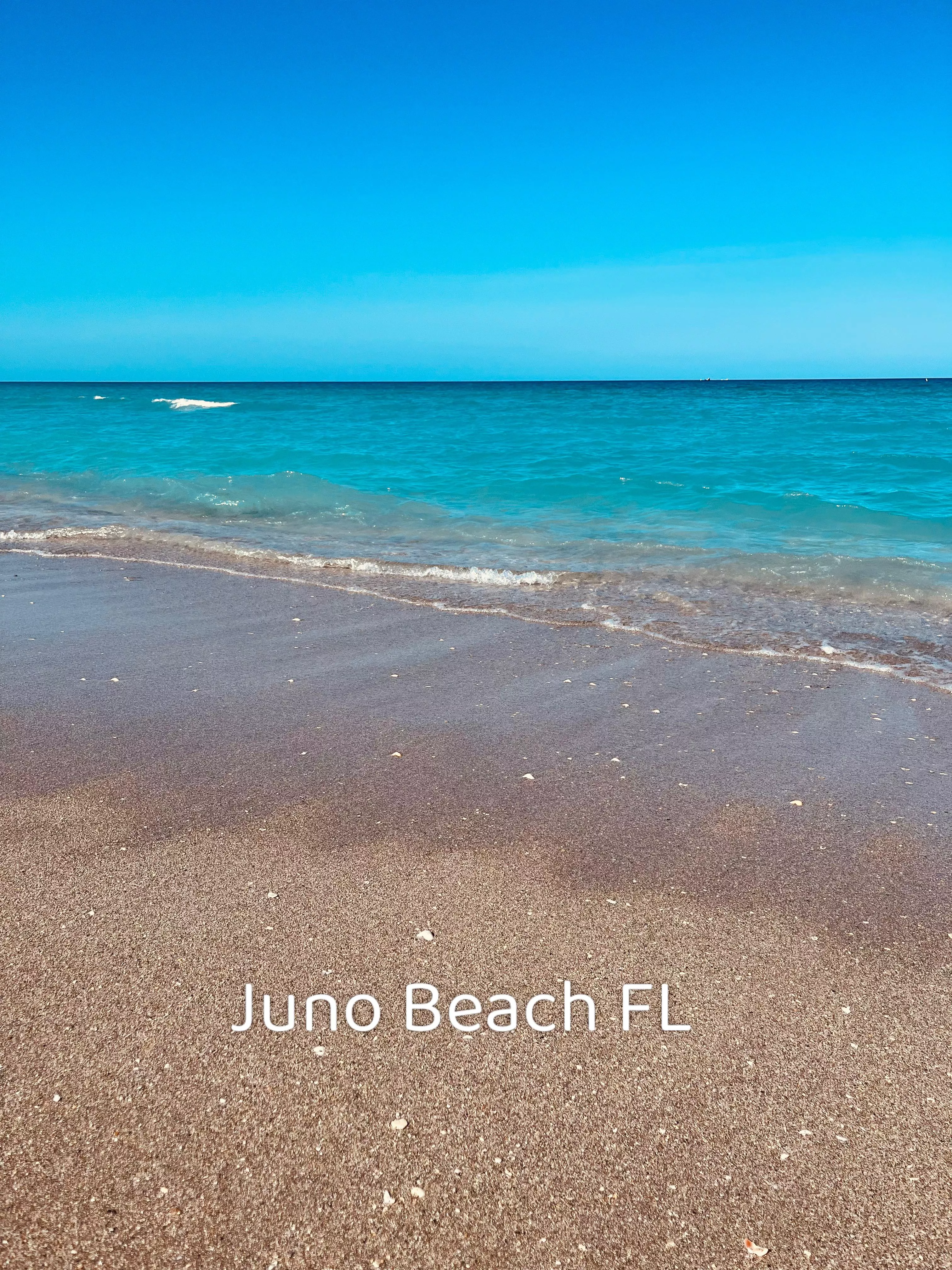 Juno Beach