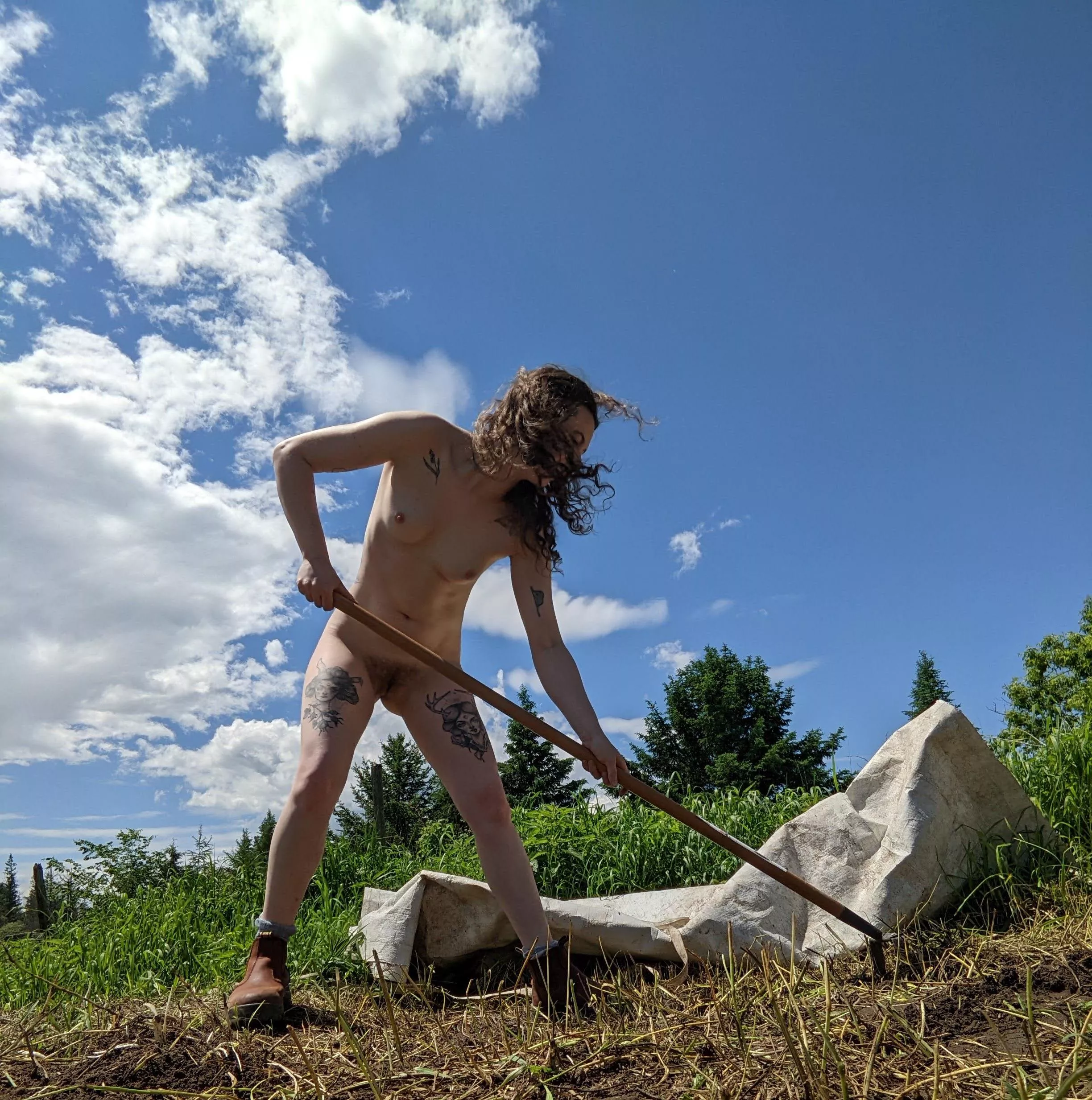 Just a hoe in the garden