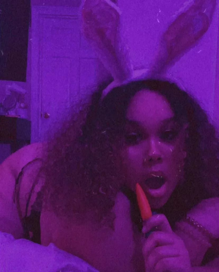 Just a lost bunny ðŸ° looking for my Playboy! Is it you?