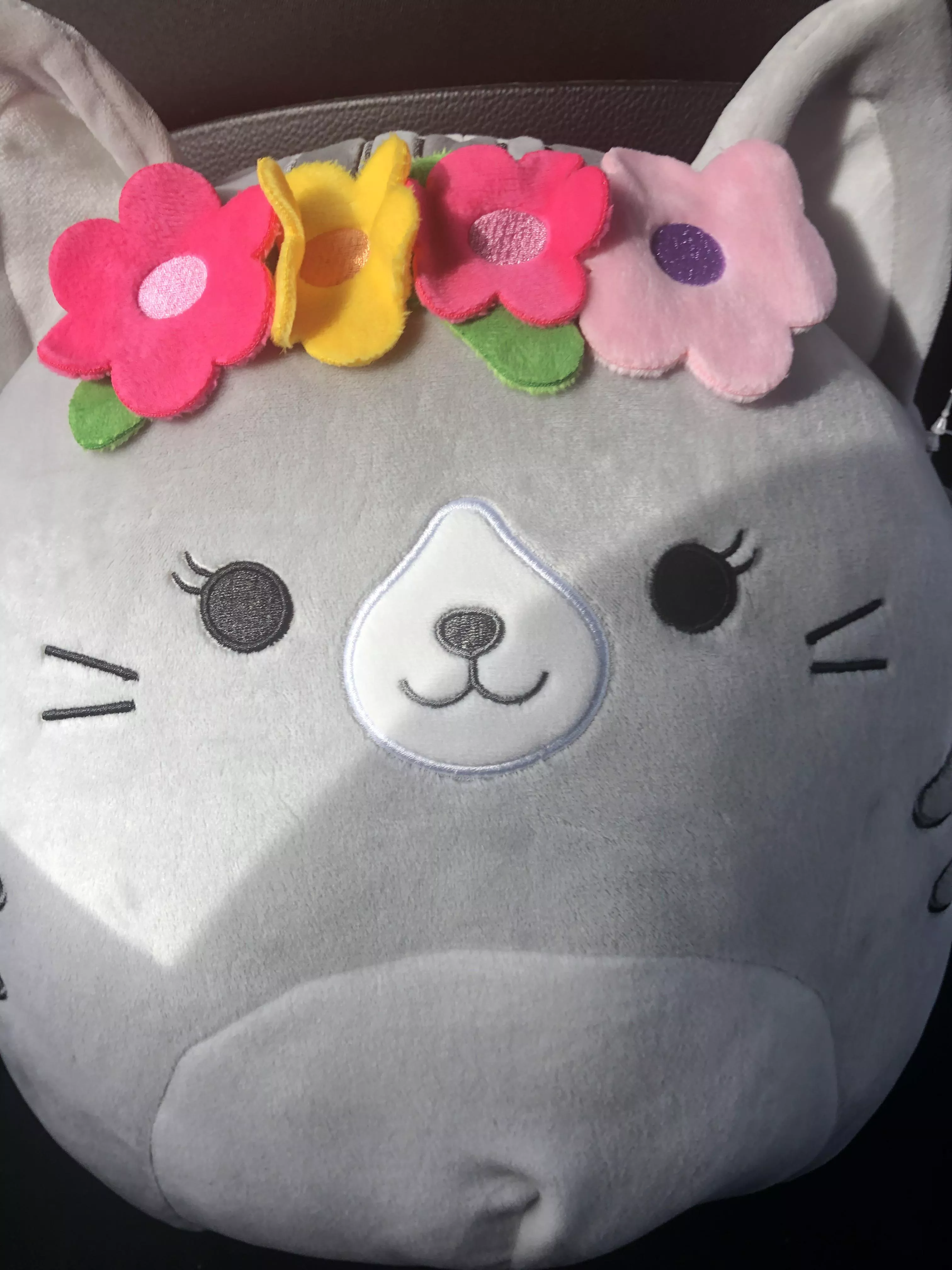 just bought my baby this squishy lil cutie 💕 🌸