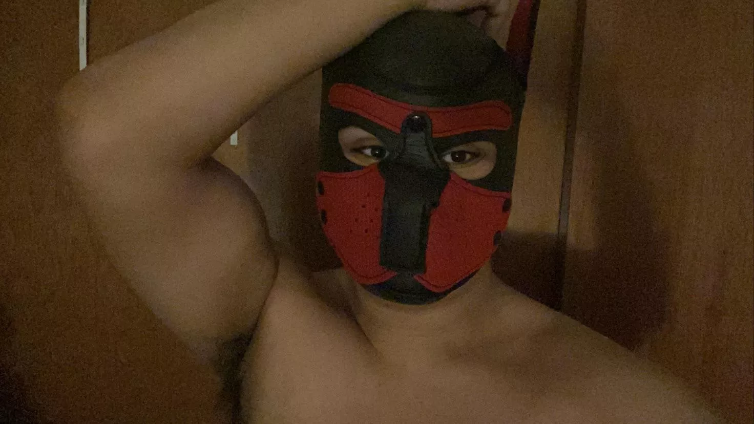 Just getting back into puppy play and realize I got a smushed nose. Not the best for getting boops :( just bought a new one that’s gonna hopefully come in soon!