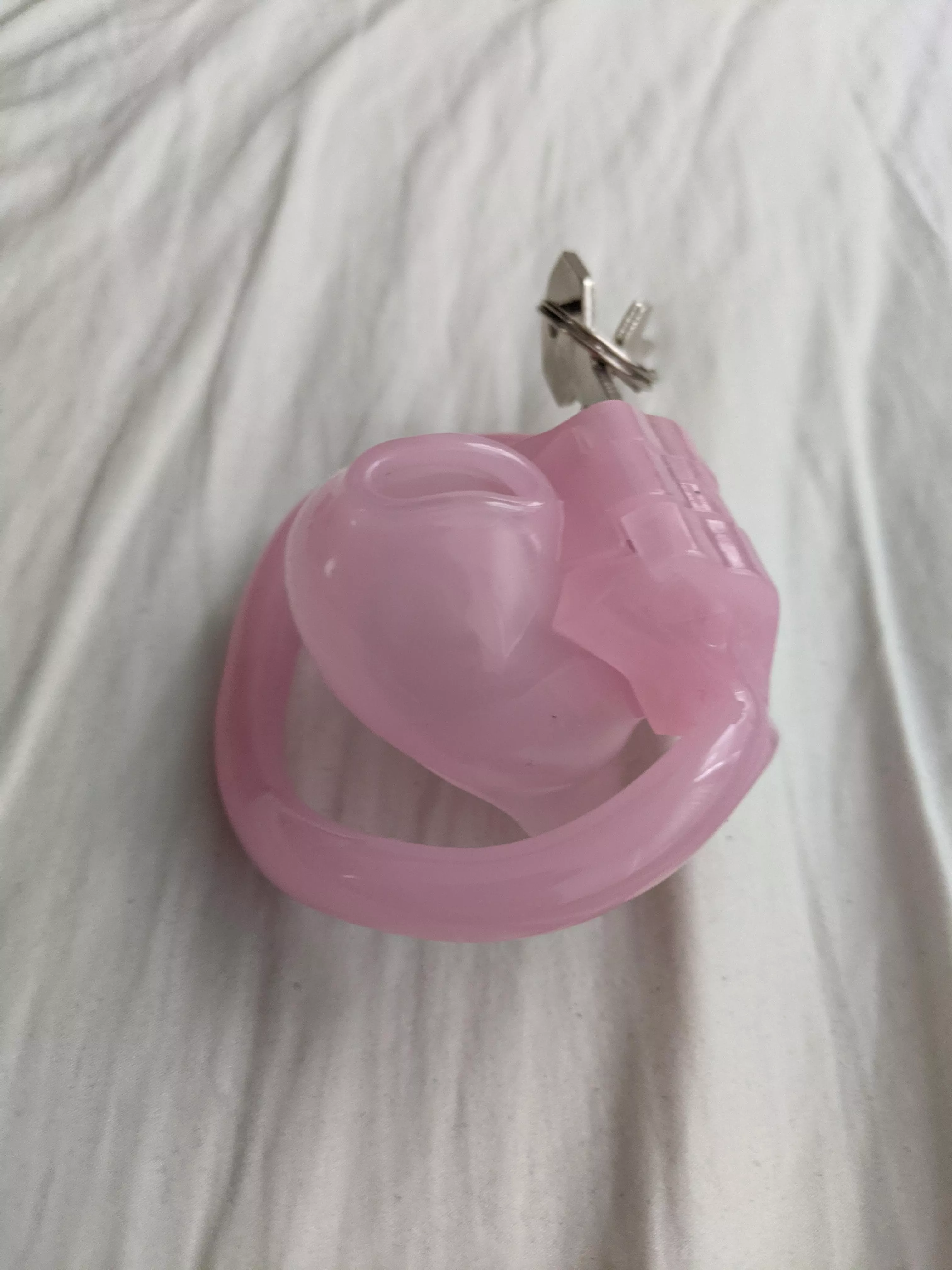 Just got an even tinier cage for my clitty ðŸ¤¤, but it's so small I'm scared to try it on. Who wants to make me do it ðŸ˜ˆ