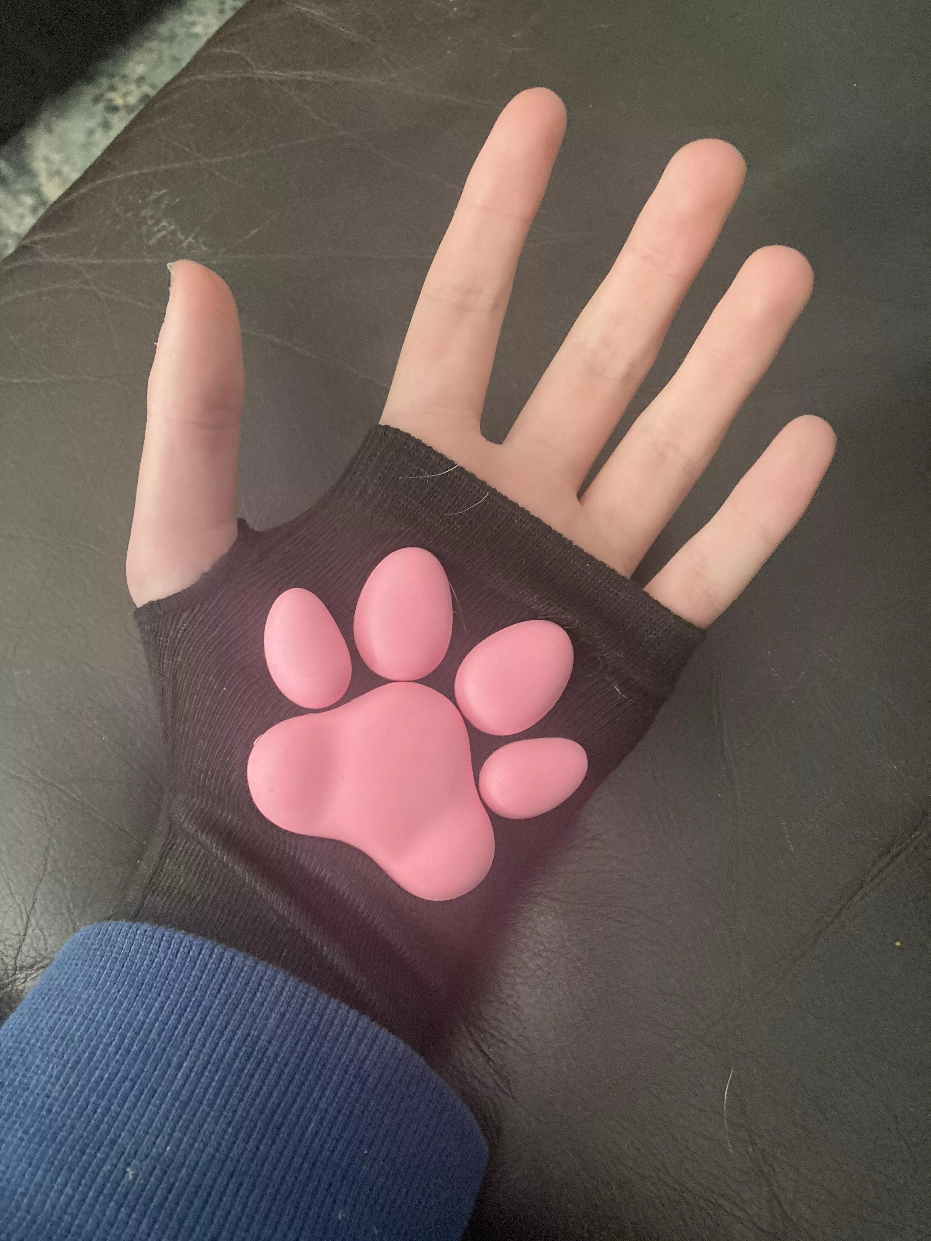 just got these cool paw gloves and im loving them