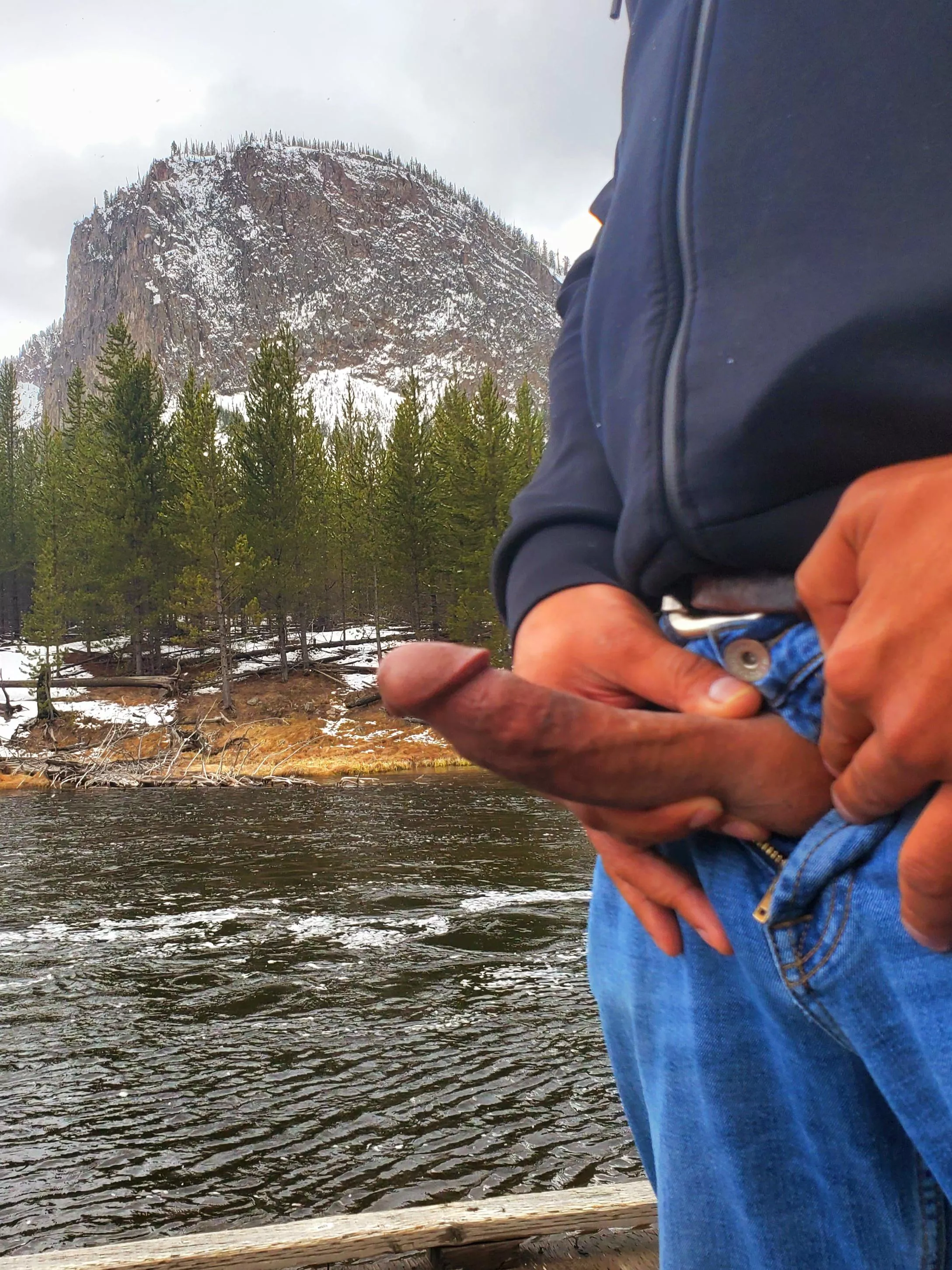 Just hanging out in Yellowstone.