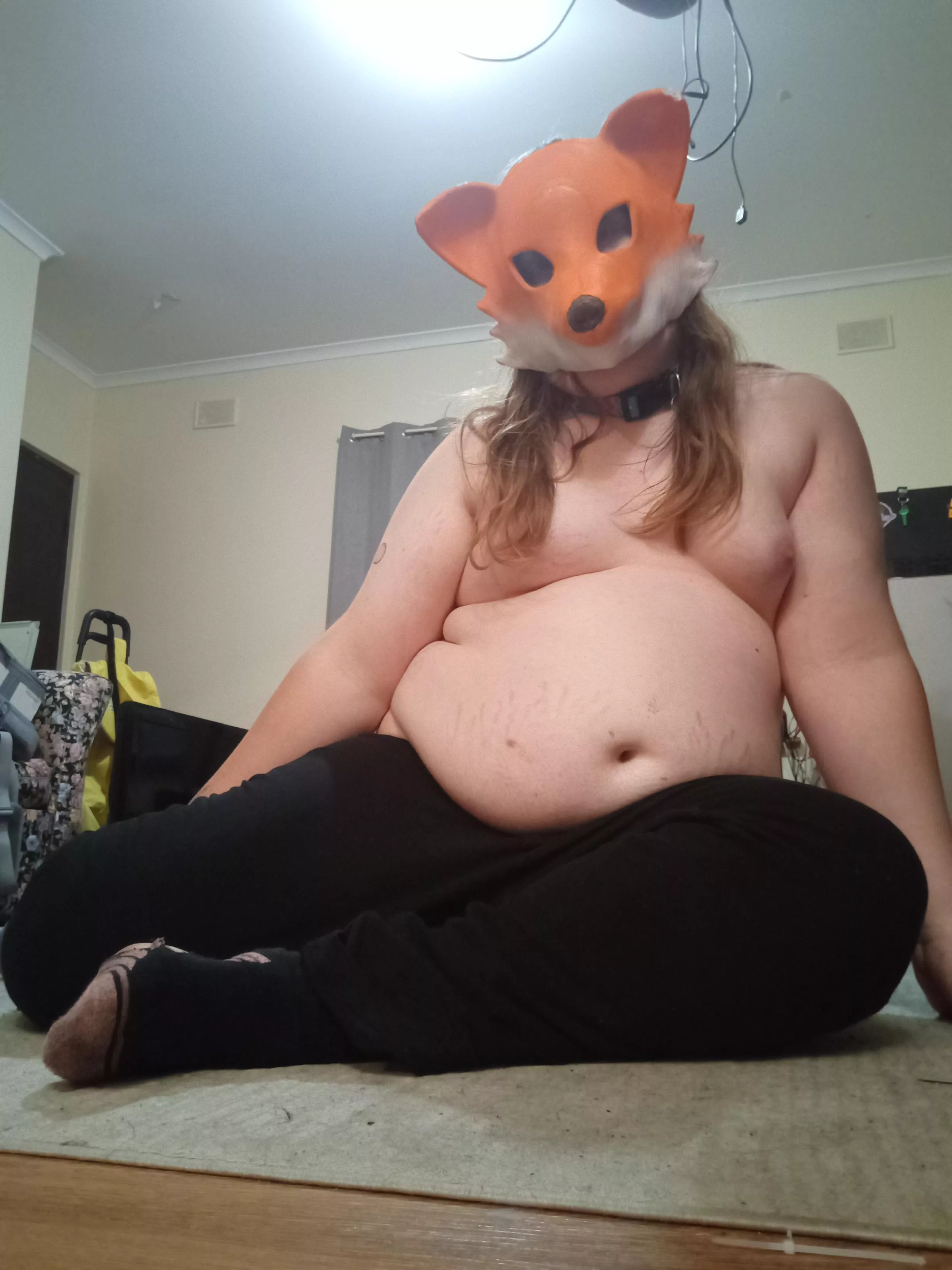 just soft fox in unclaimed collar