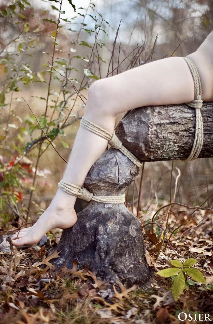 Just some woodland bondage, with the assistance of a very hard working beaver!