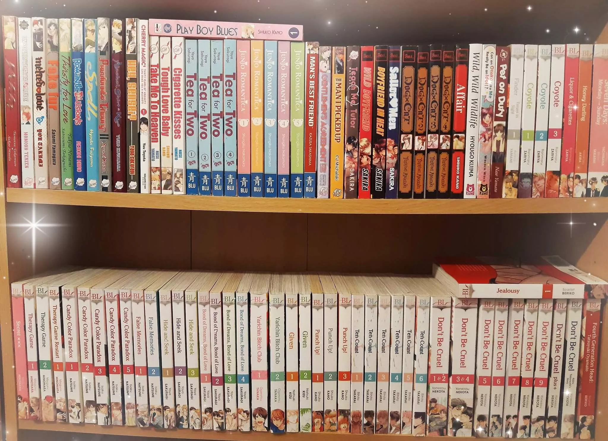 Just thought I'd share my growing Yaoi manga collection 💕