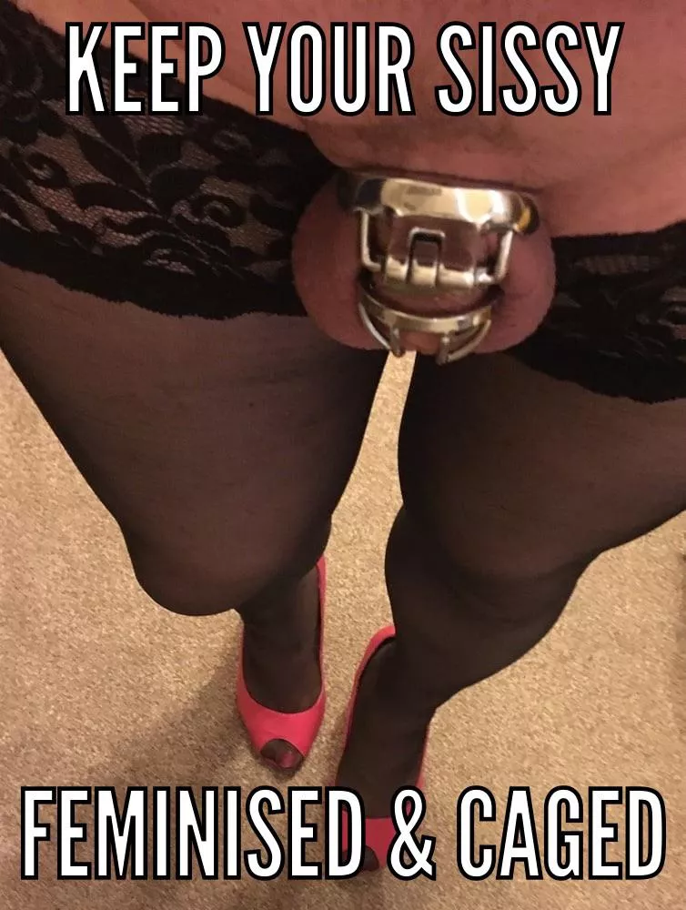 Keep your sissy