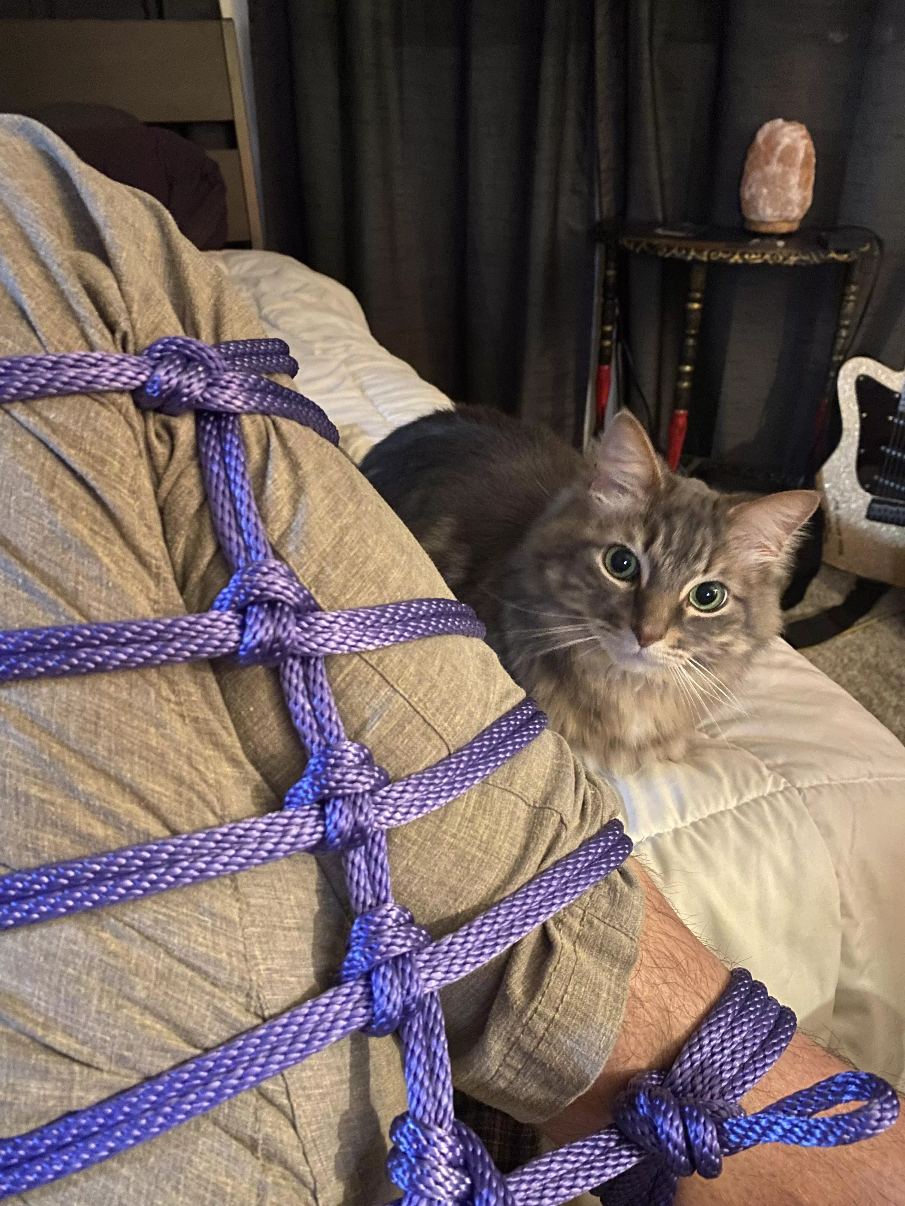 Kitty admires his first tie