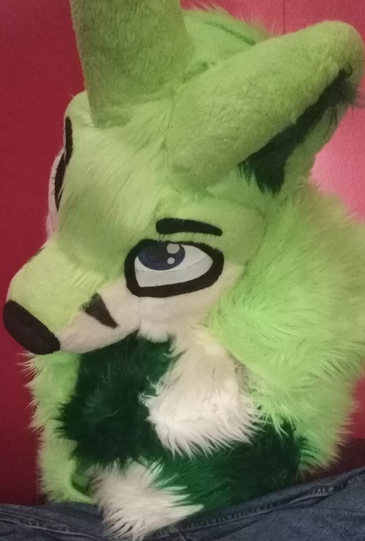 Last fursuit Friday photo, as I have made the decision to leave the furry fandom. (Fursuit Friday 4/1/22)