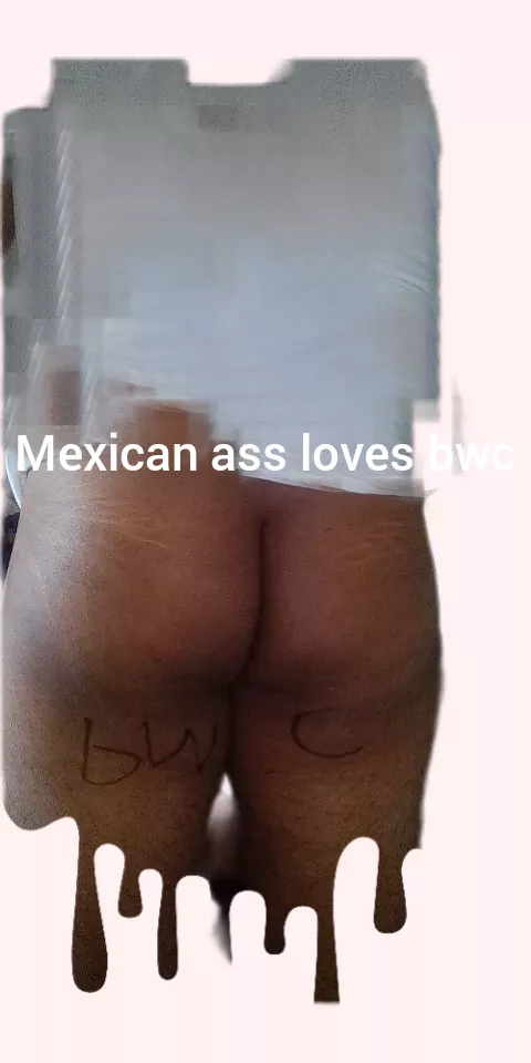 Latino ass needs bwc love being suffocated by bwc and ass pounded