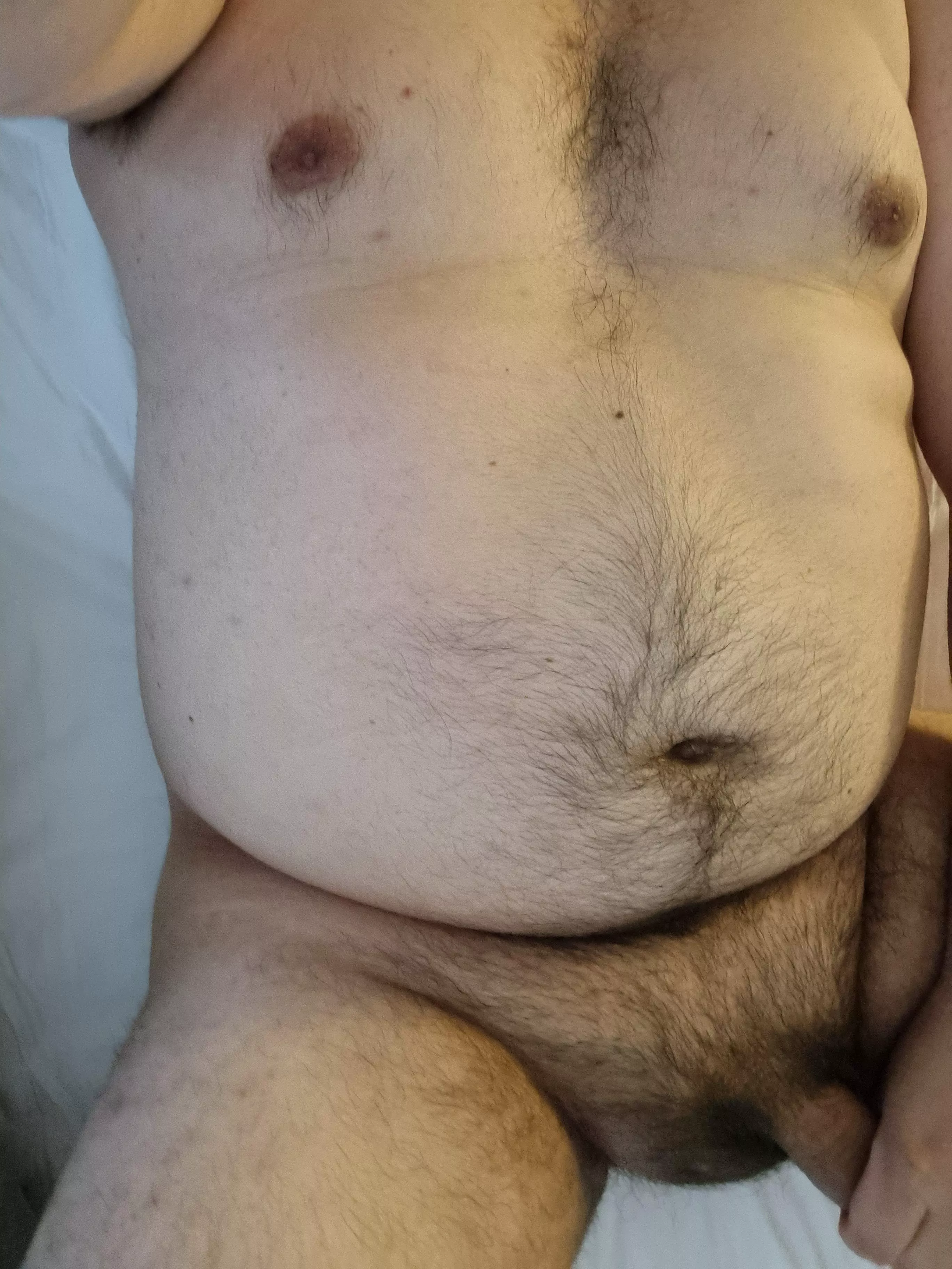 latino bear. DMs open