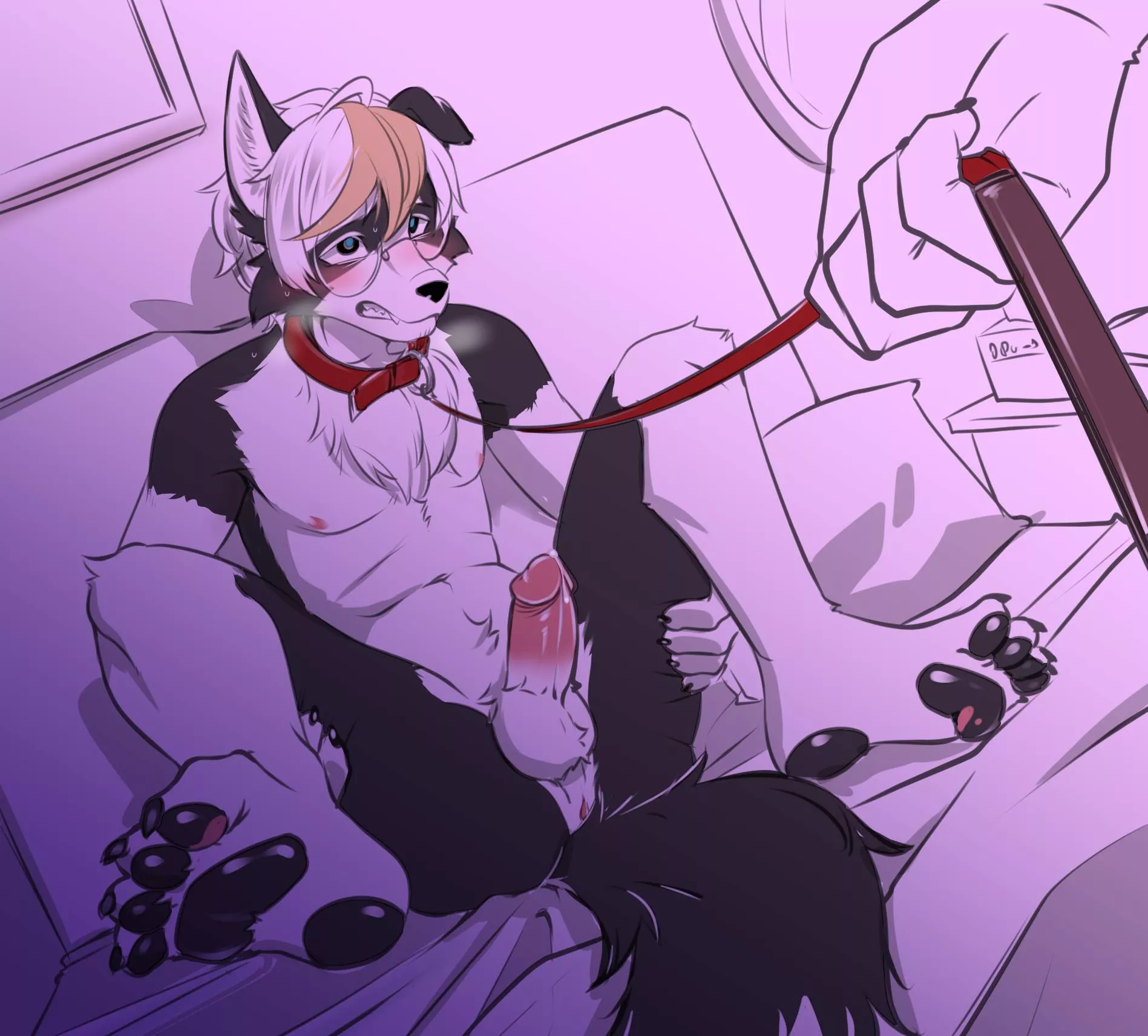 Leashed (Mello)