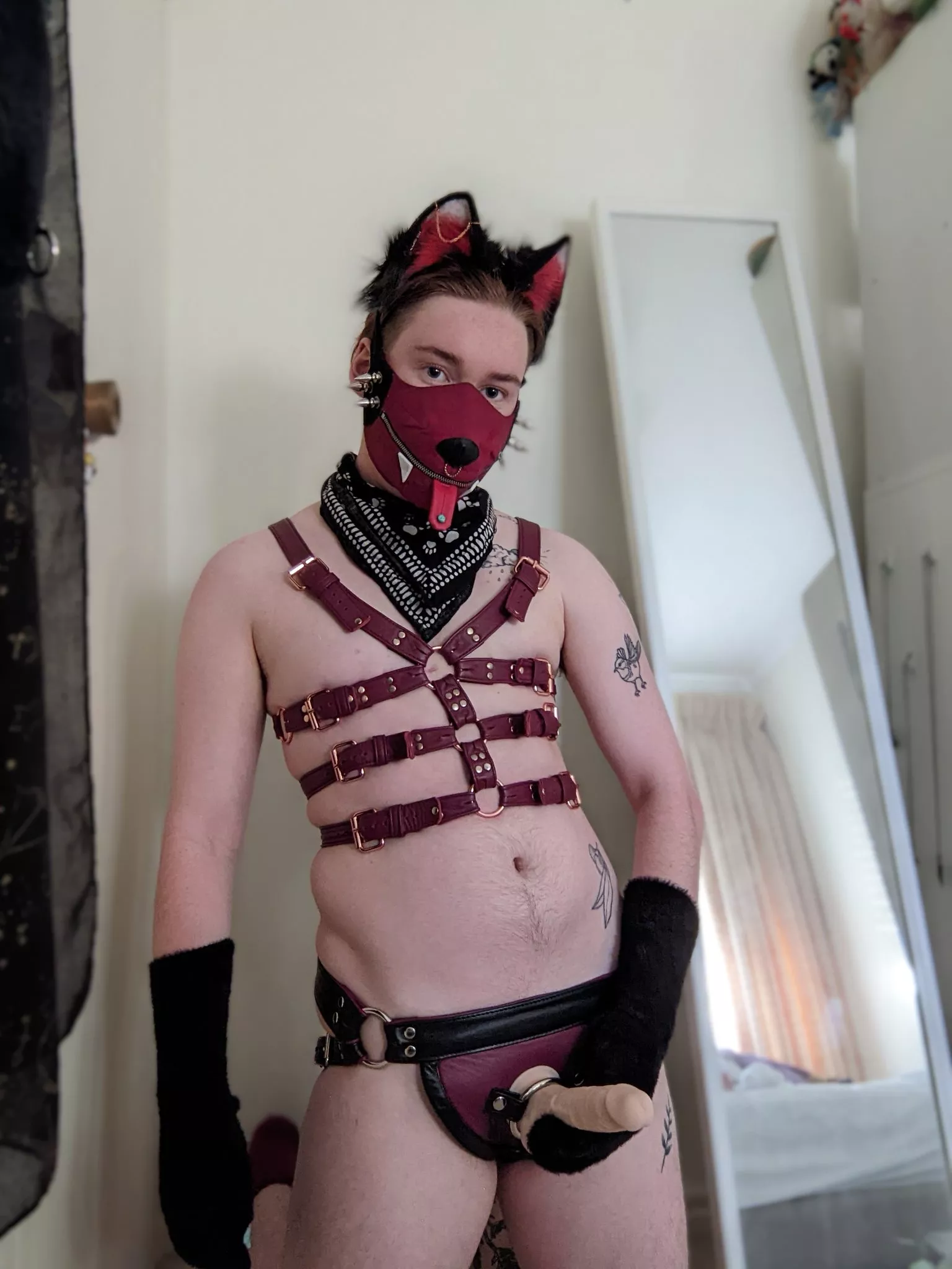 Leather Pup