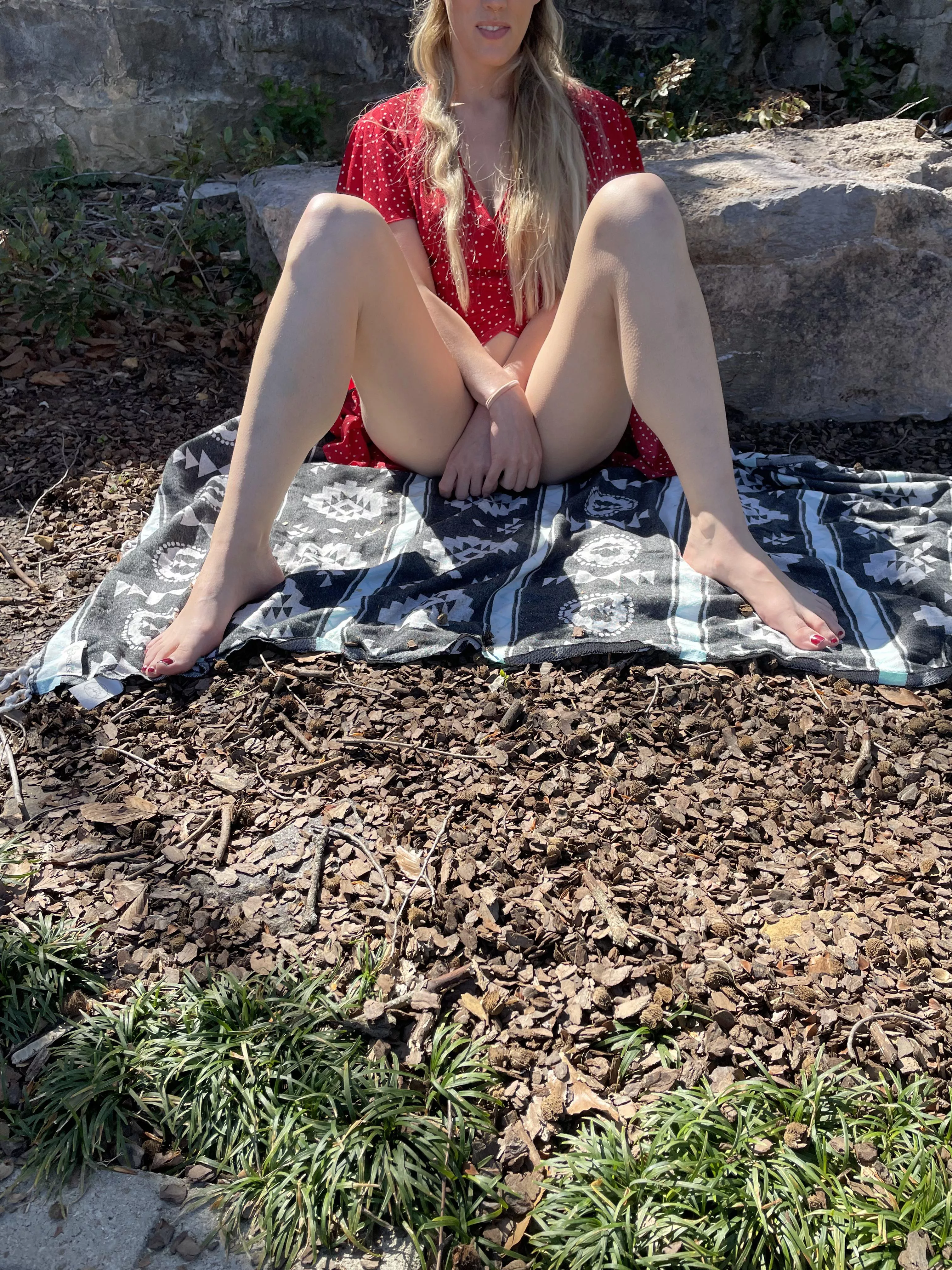 Let’s have a picnic (f)