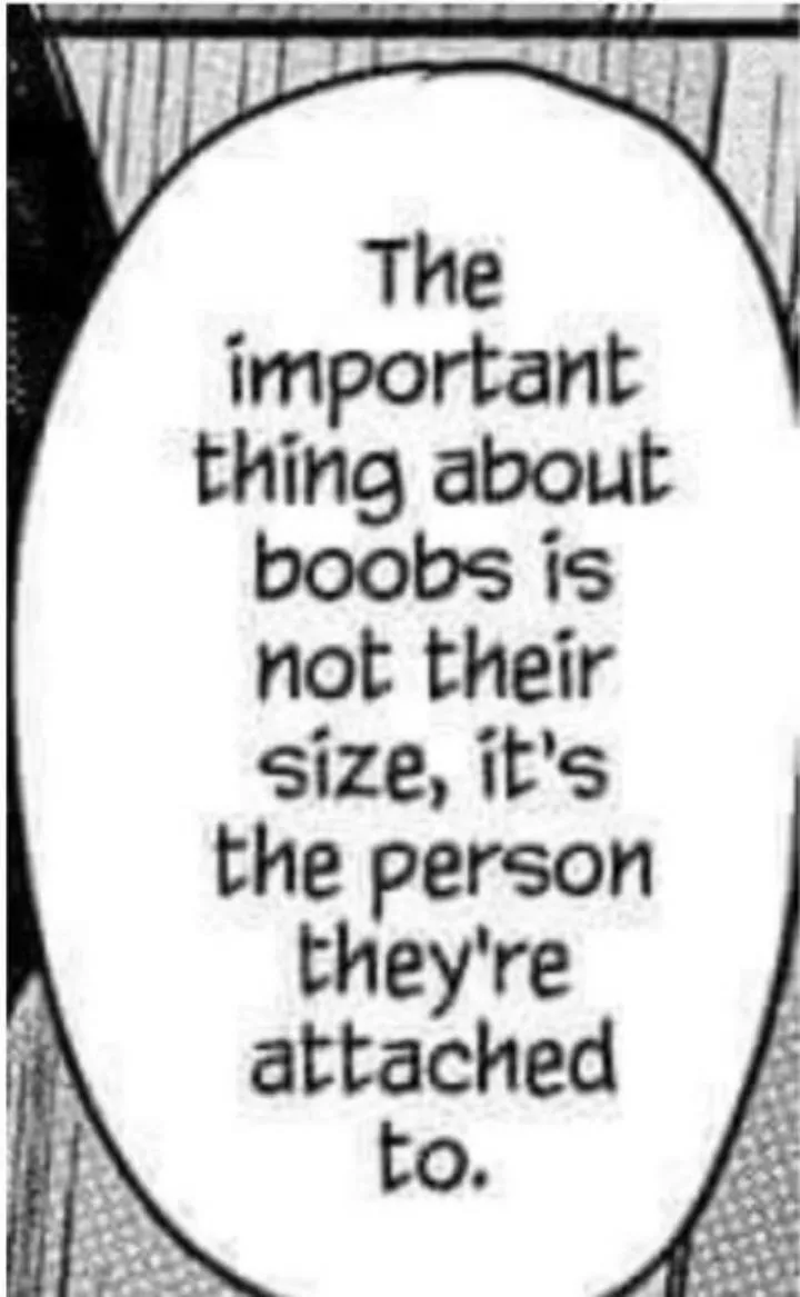 LF Mono Source: The important thing about boobs is not their size, it's the person they're attached to.