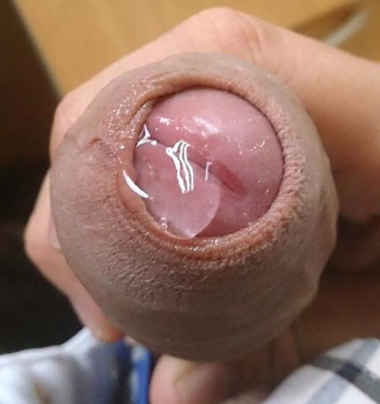 lick it Baby....