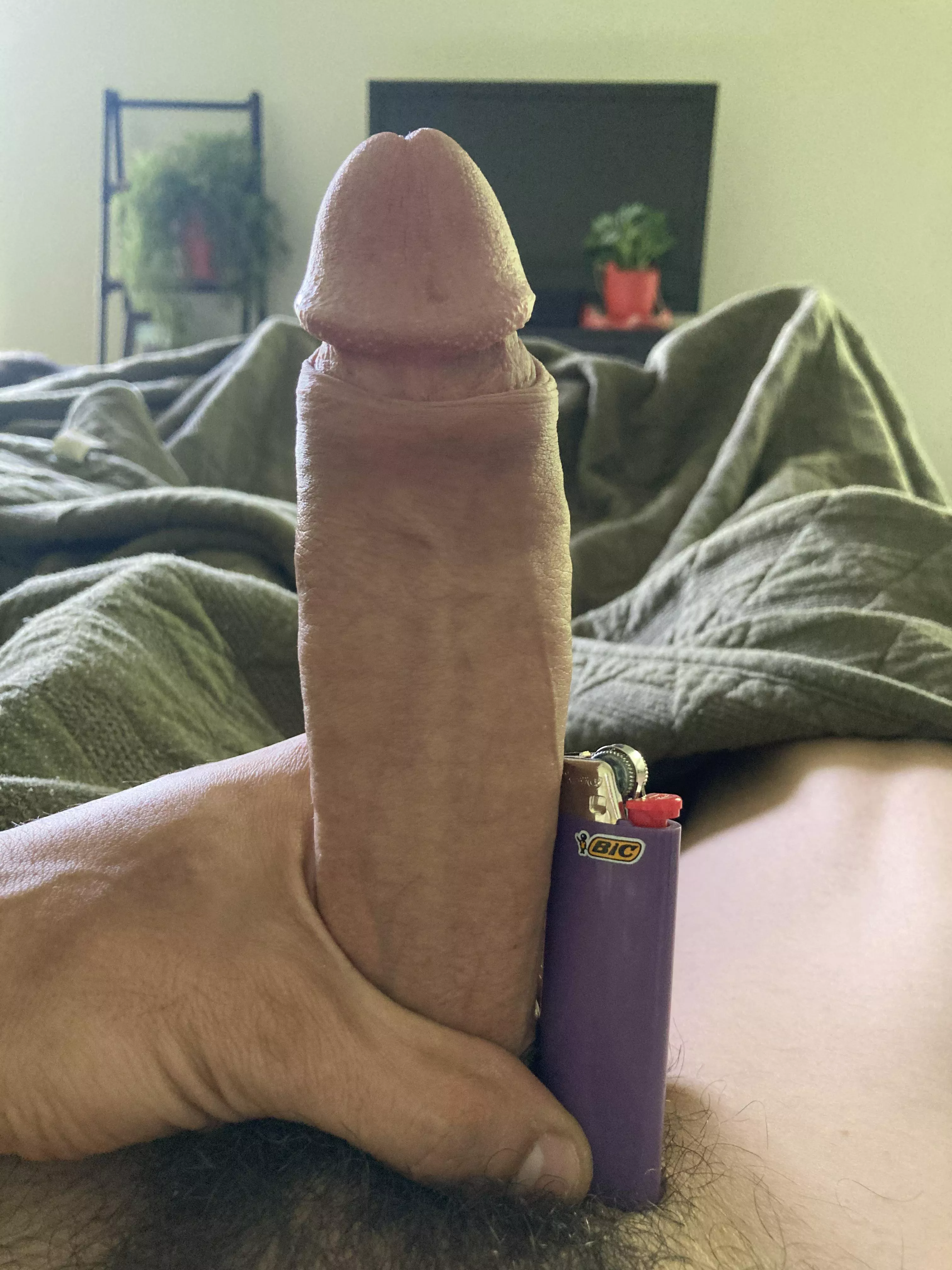 lighter for scale