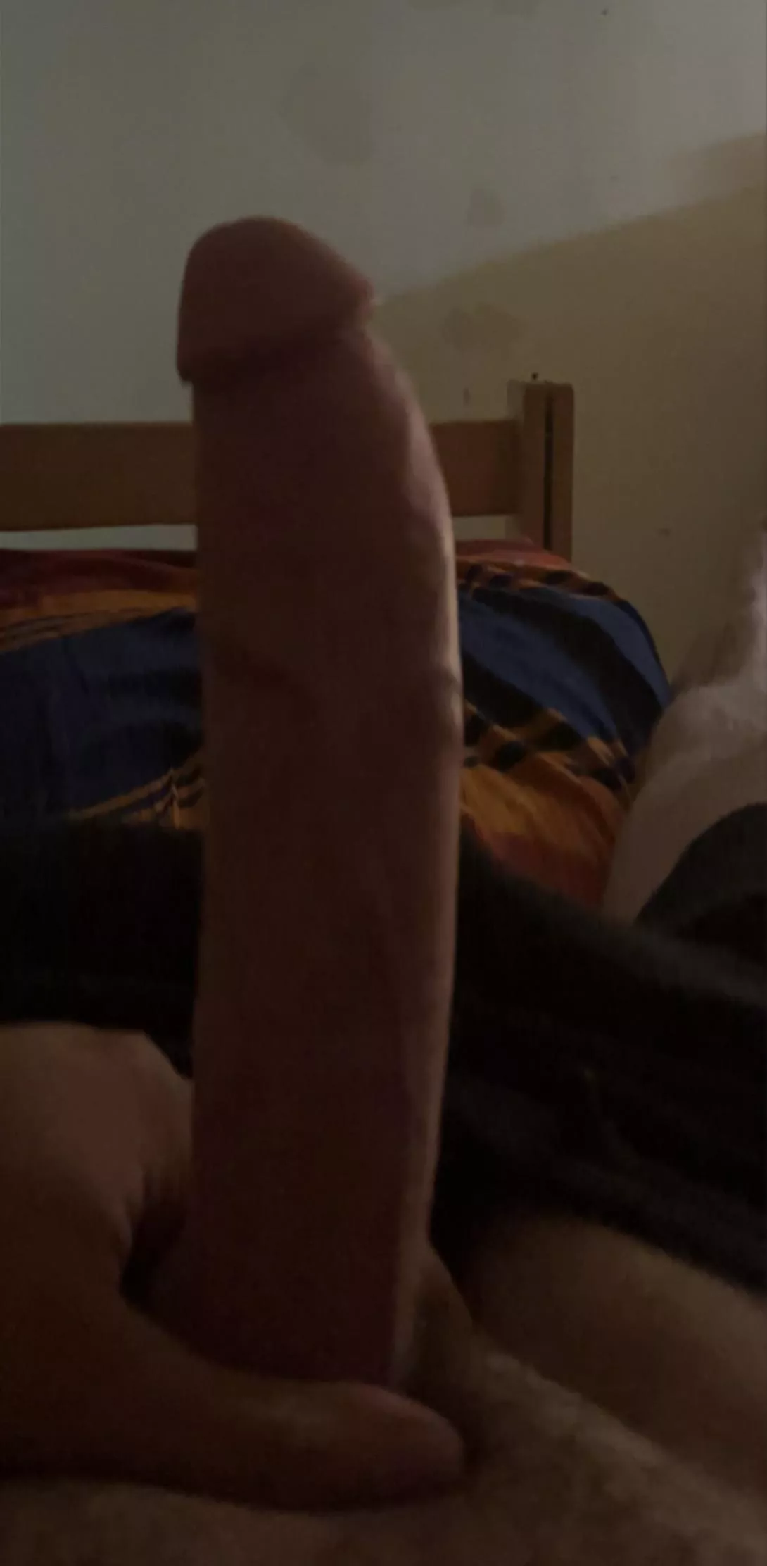 Looking for my straight friends curious about huge cock