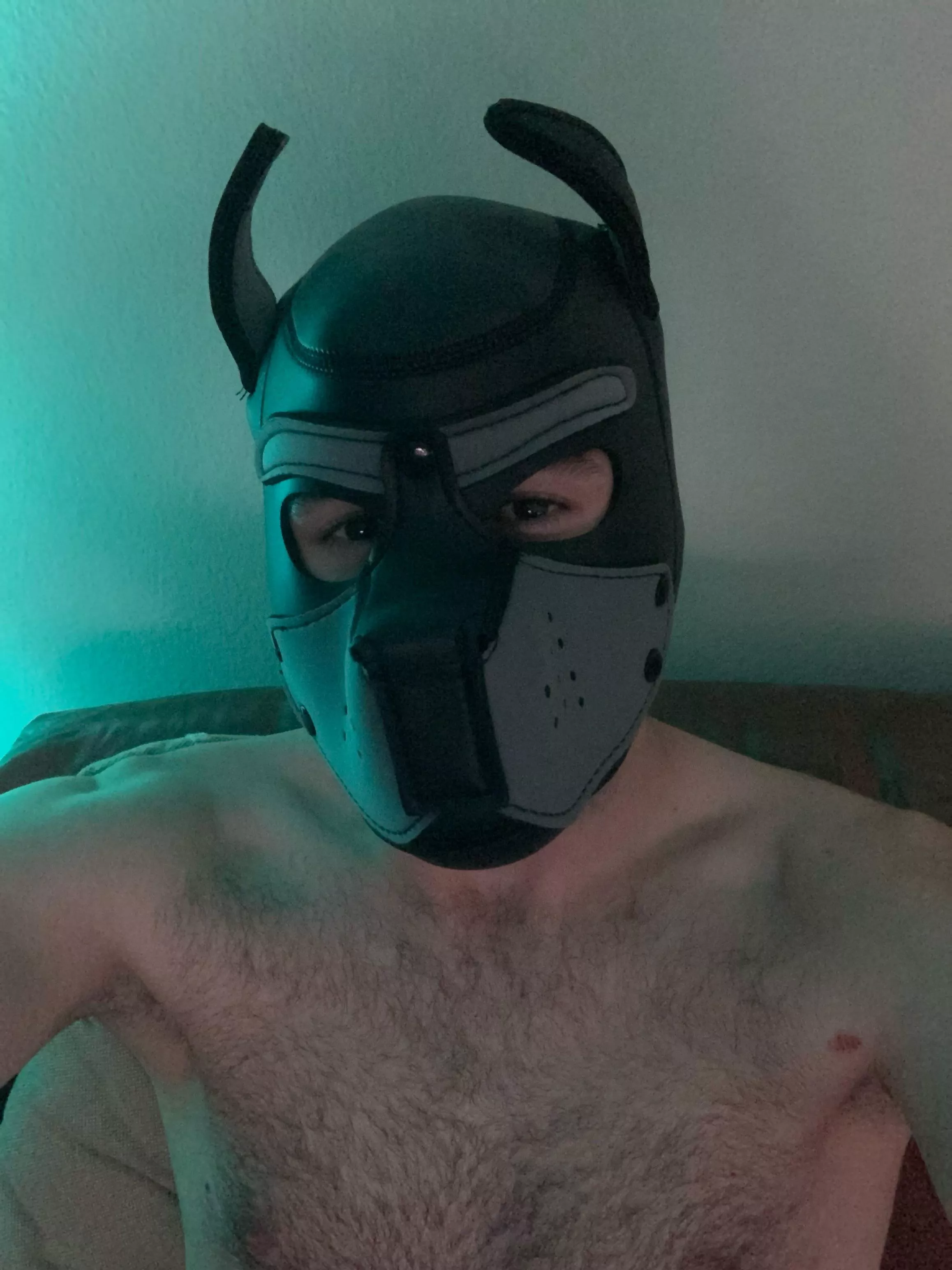 looking for pups to pup out with