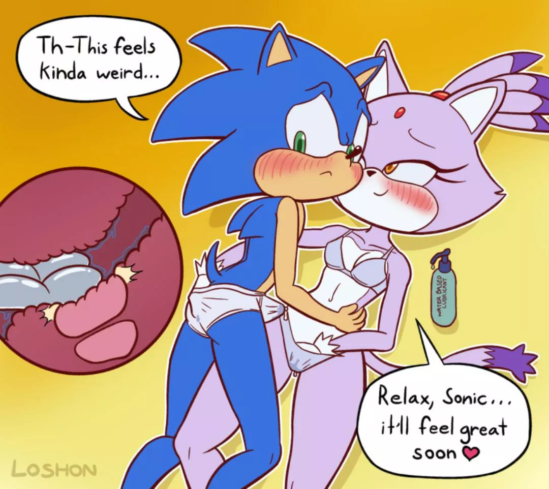 (loshon) blaze teaching sonic