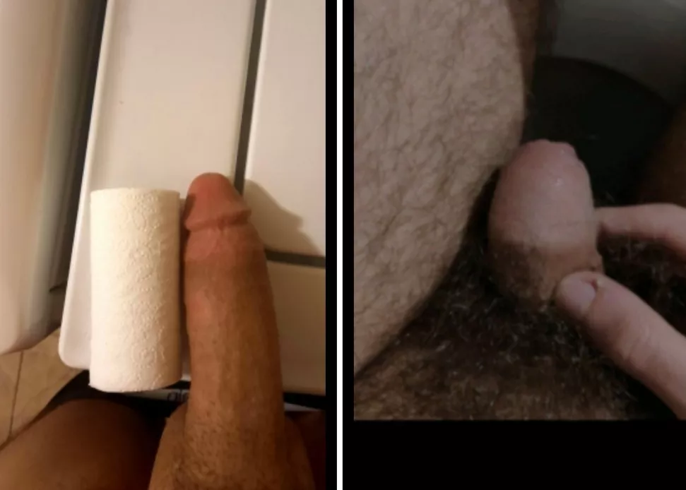 Lowjjlow's 8 inches Bull Cock (L) vs SmallDickEnergy007's Sissy clit. (R)