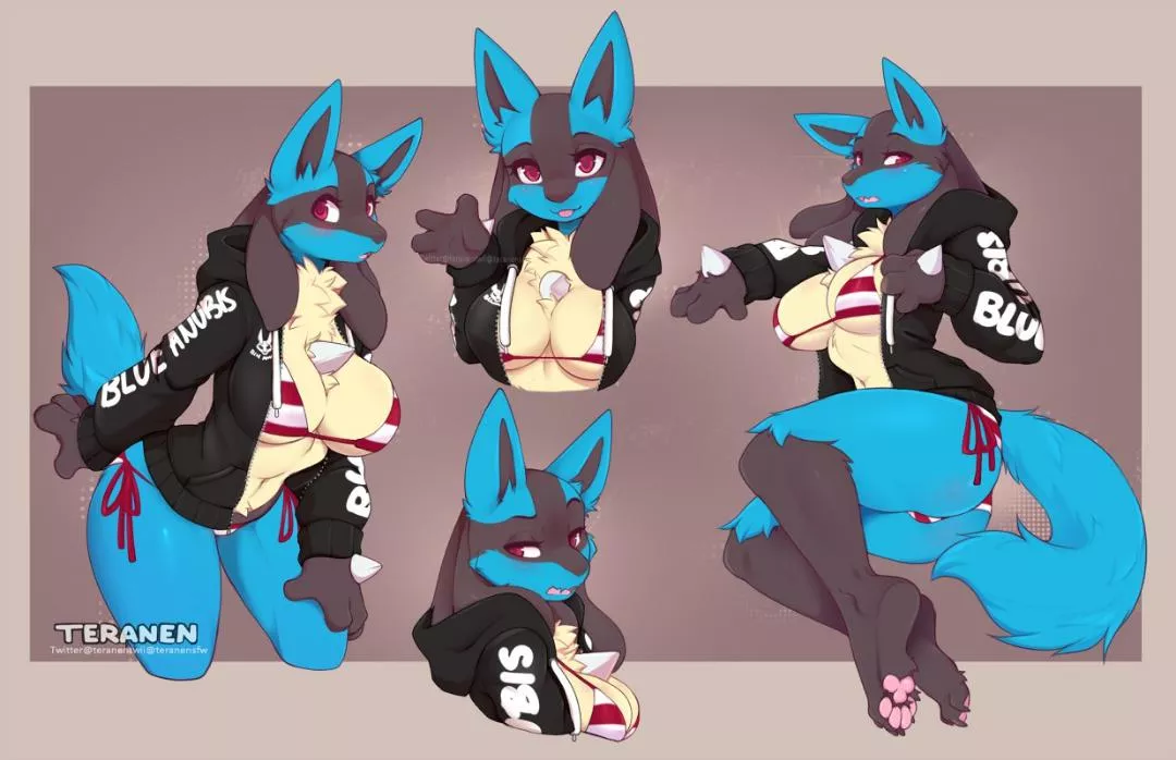 Lucario in a hoodie (Teranen)