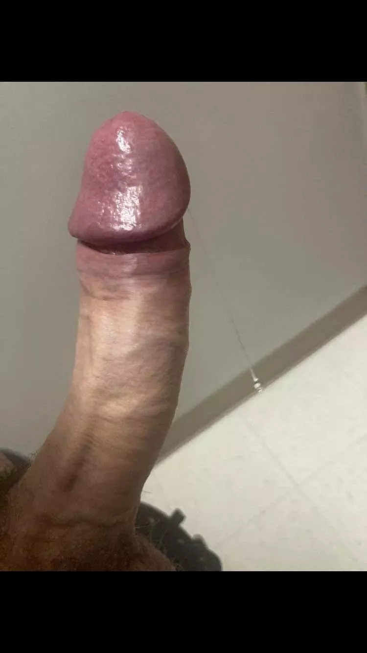 (M) Edmonton cock