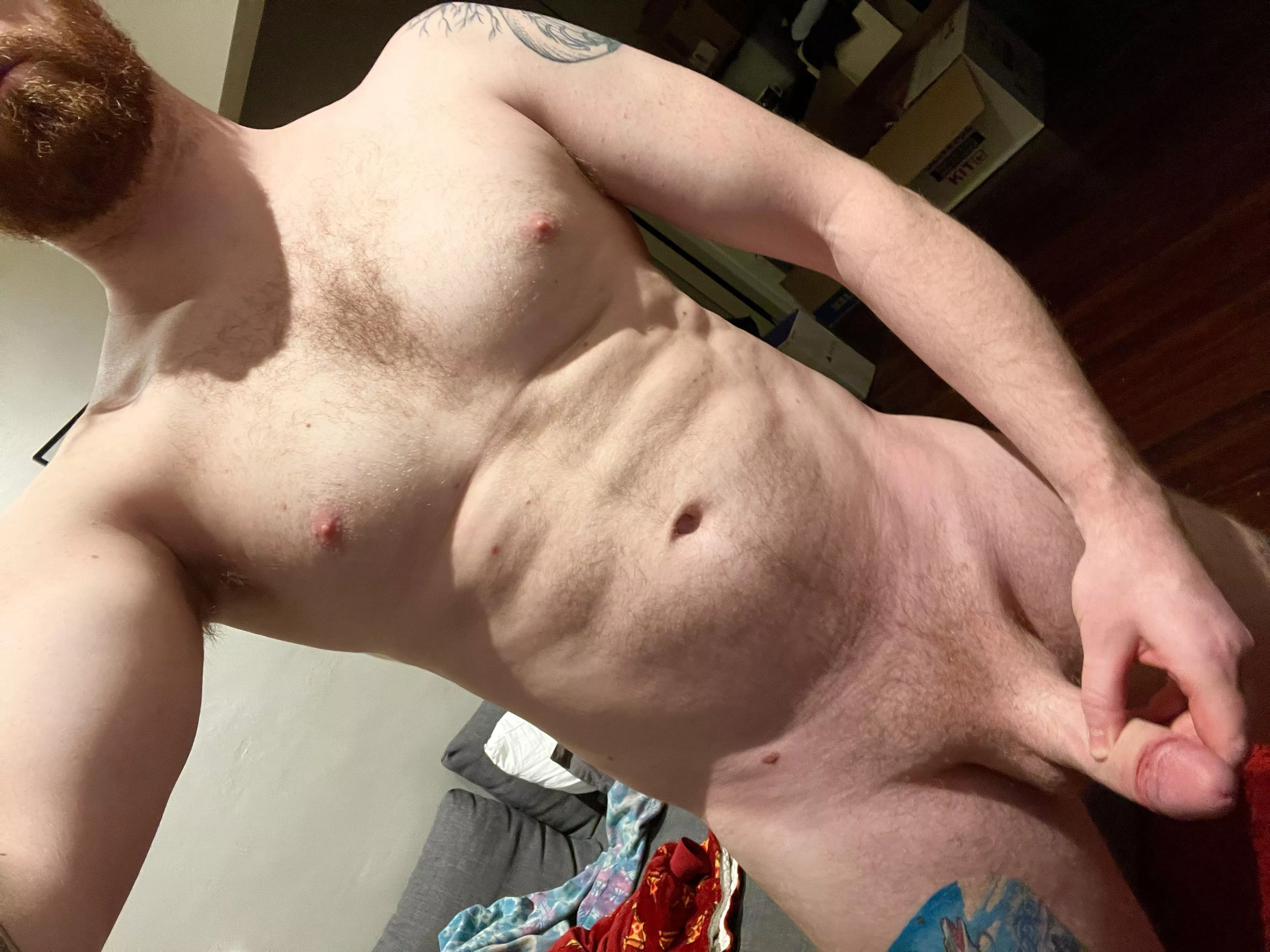 (M) Not the most flattering angle, but my body has been shaping up nicely lately