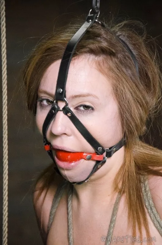 Maddy O'Reilly looks so good with a harness gag