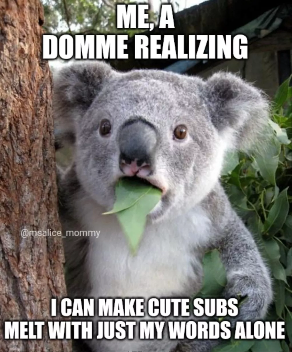 making subs feel cute and mushy is my favorite hobby~