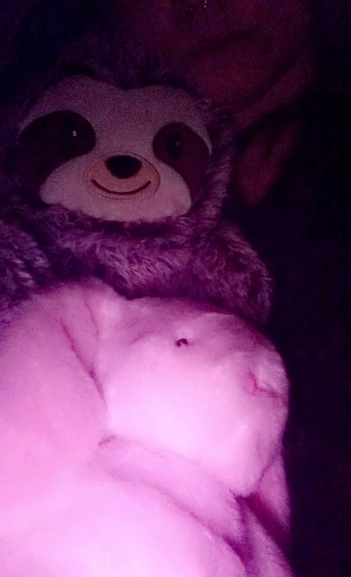 Me again. Reunited with Mr Flops and snuggled up to my sloth hot water bottle, getting cosy 🥰 anyone want to read me a bedtime story?