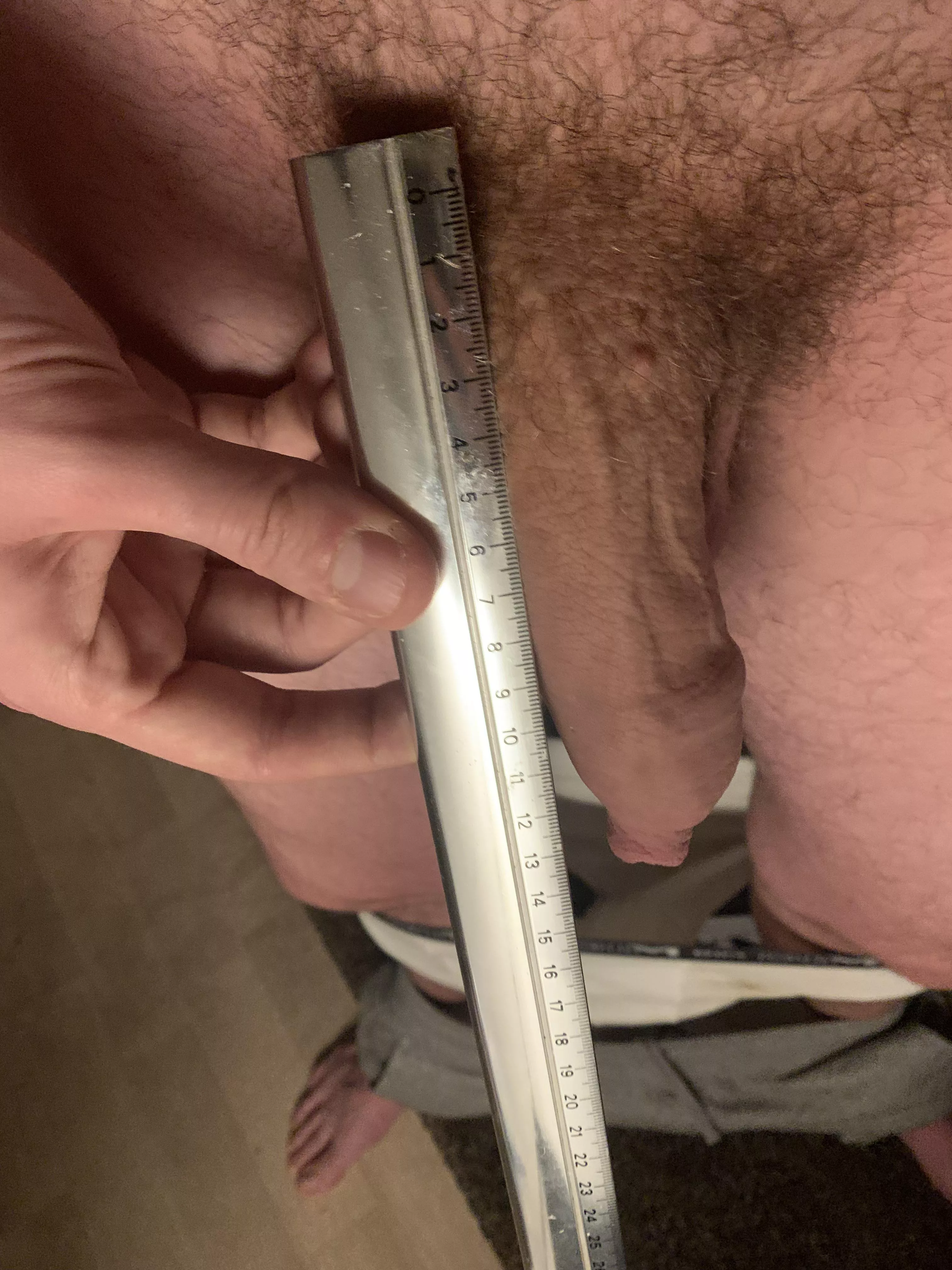 Measuring my soft French cock, want to guess how big it is hard ? Dm me