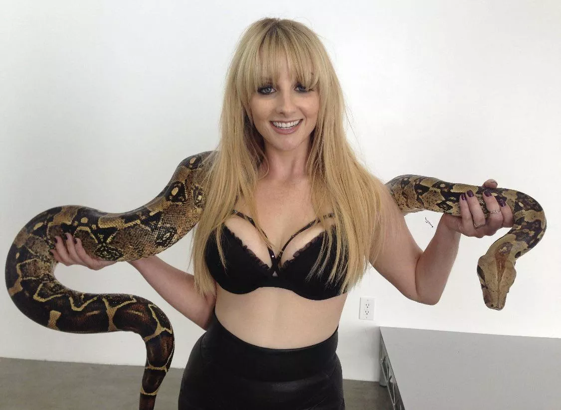 Melissa Rauch