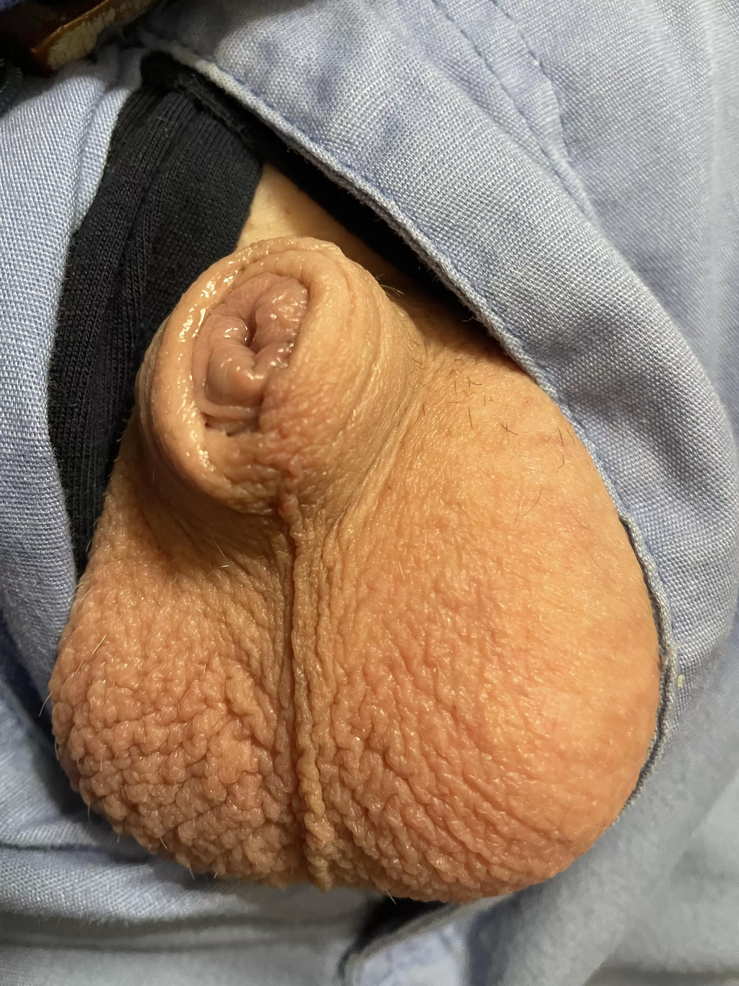 Moist (40)