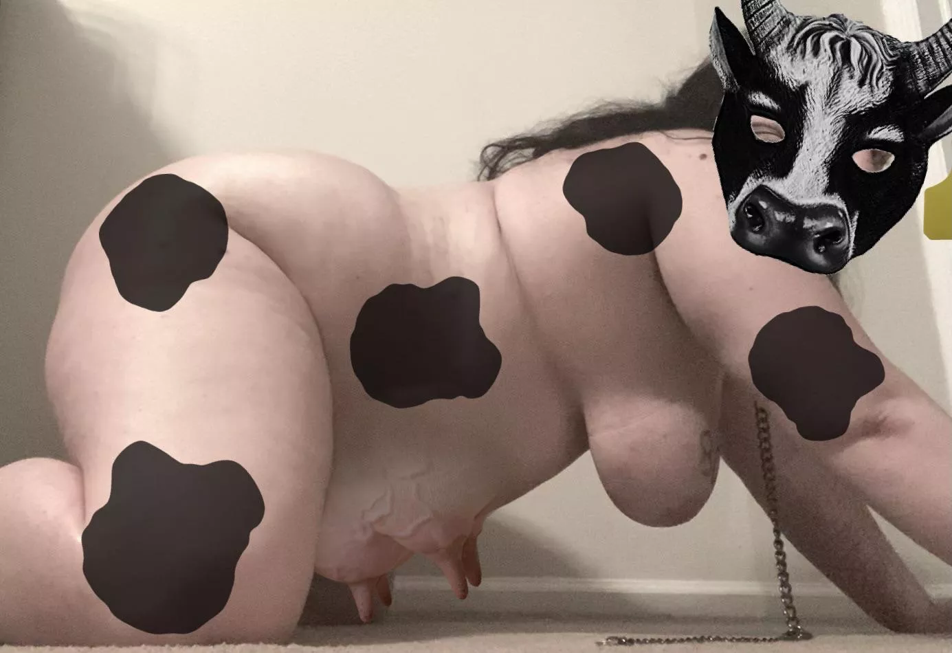 Moooo! Come milk all of my swollen udders!