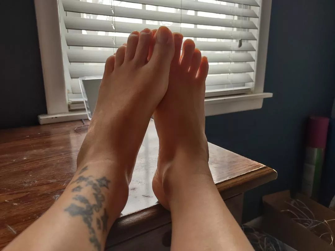 morning toes. just woke up