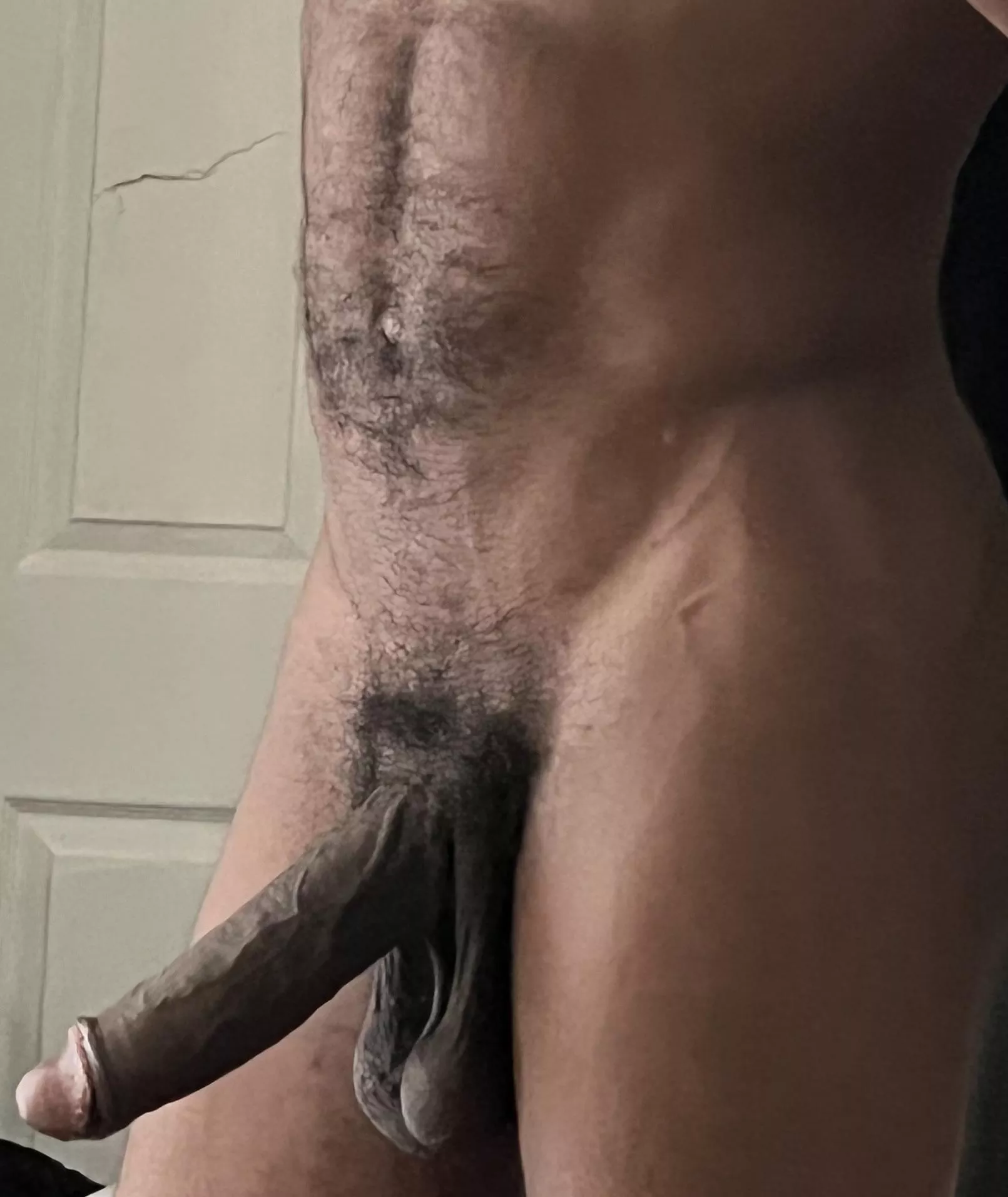 morning wood