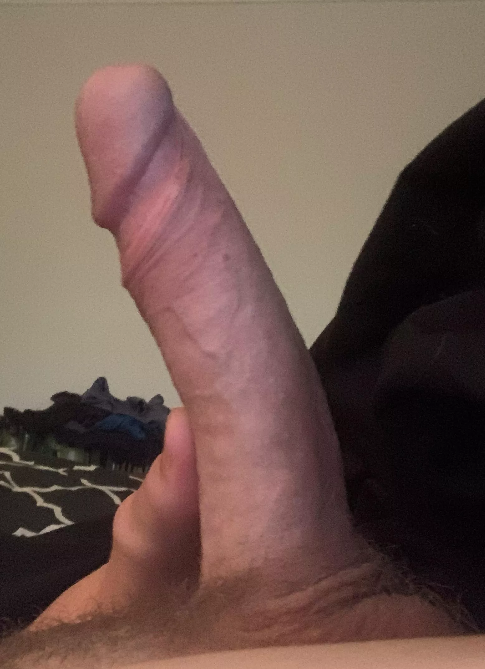 morning wood