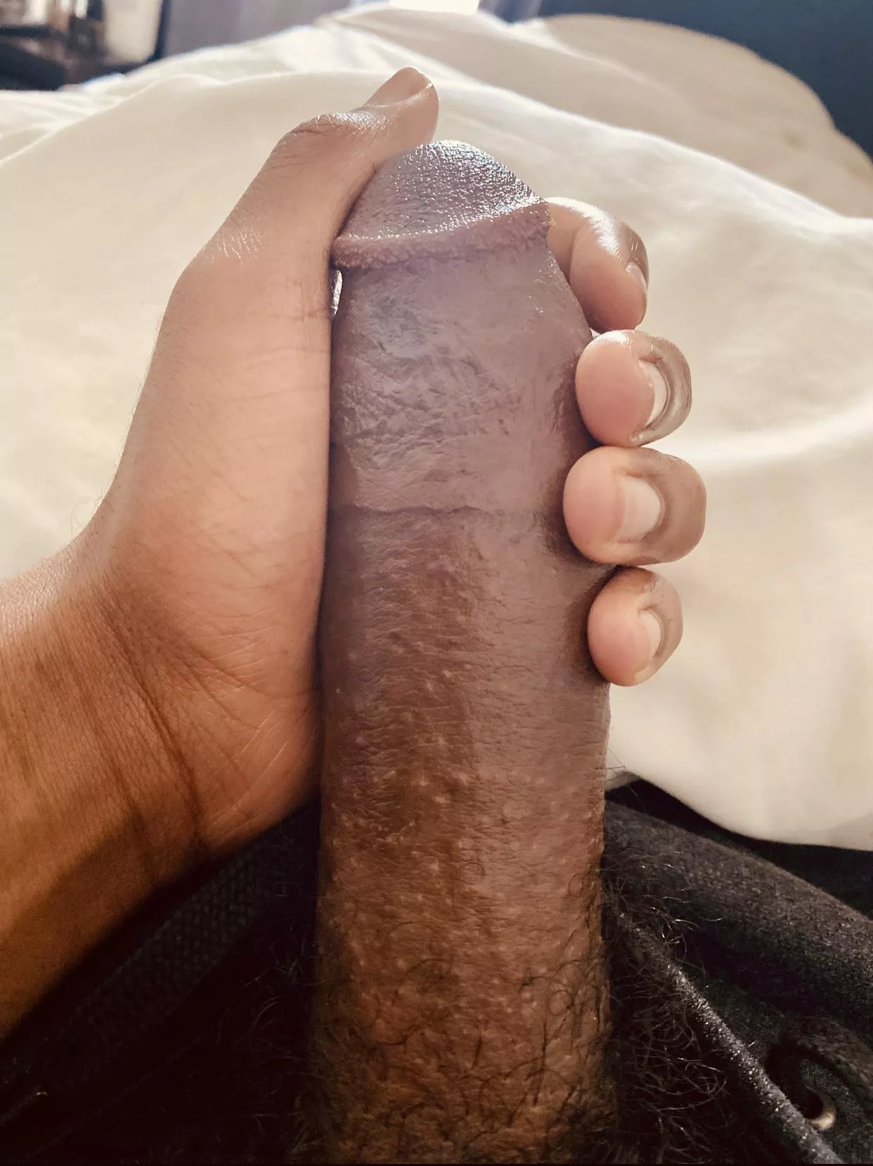 morning wood