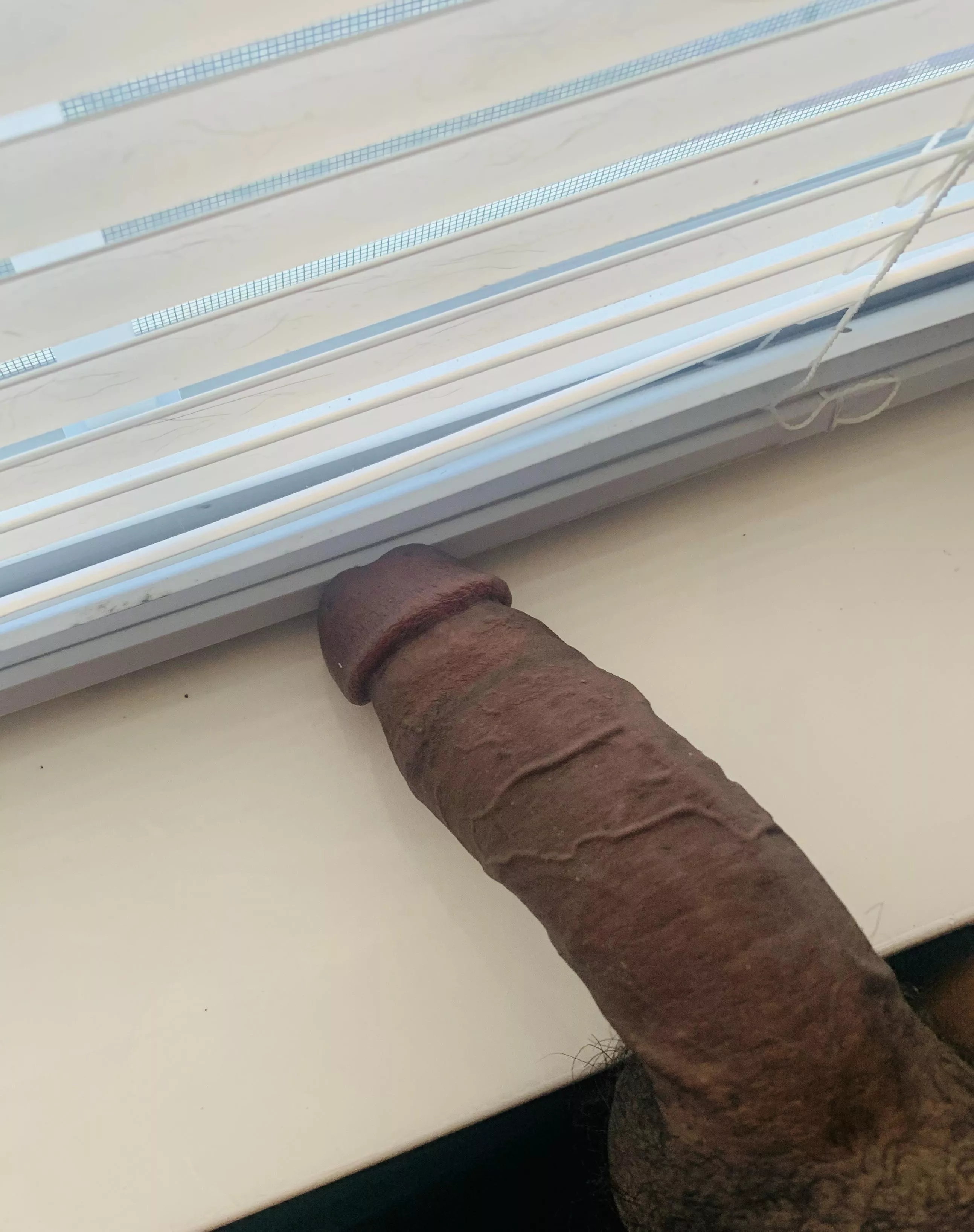 Morning wood