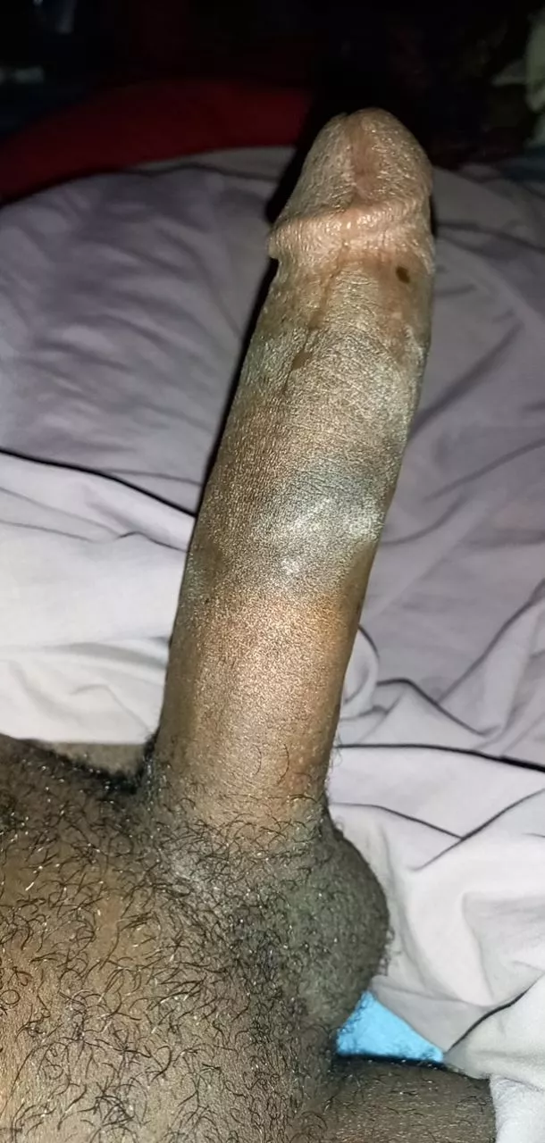 Morning Wood with a lil pre-cum