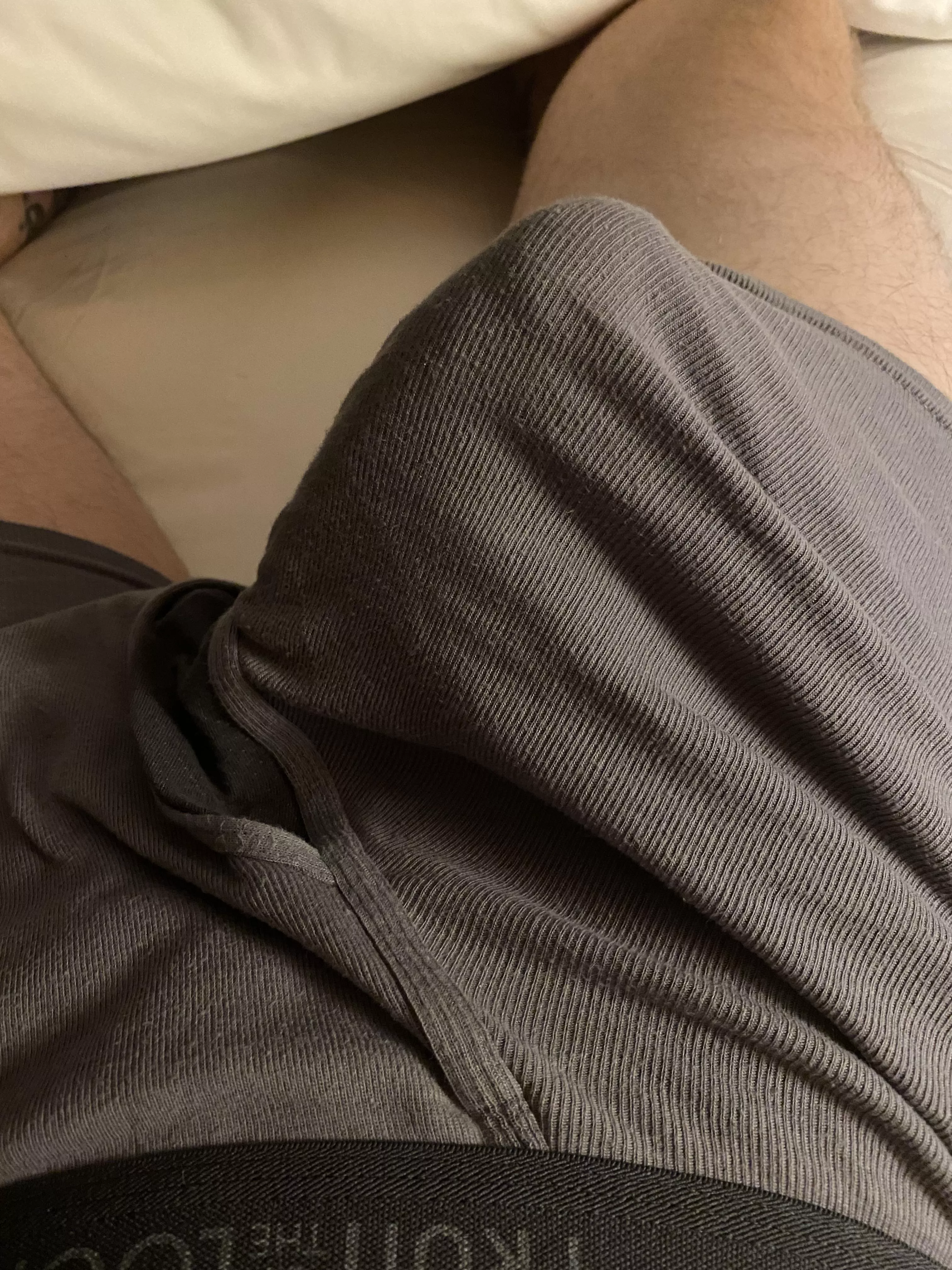 My boxers are grey and I want to play.