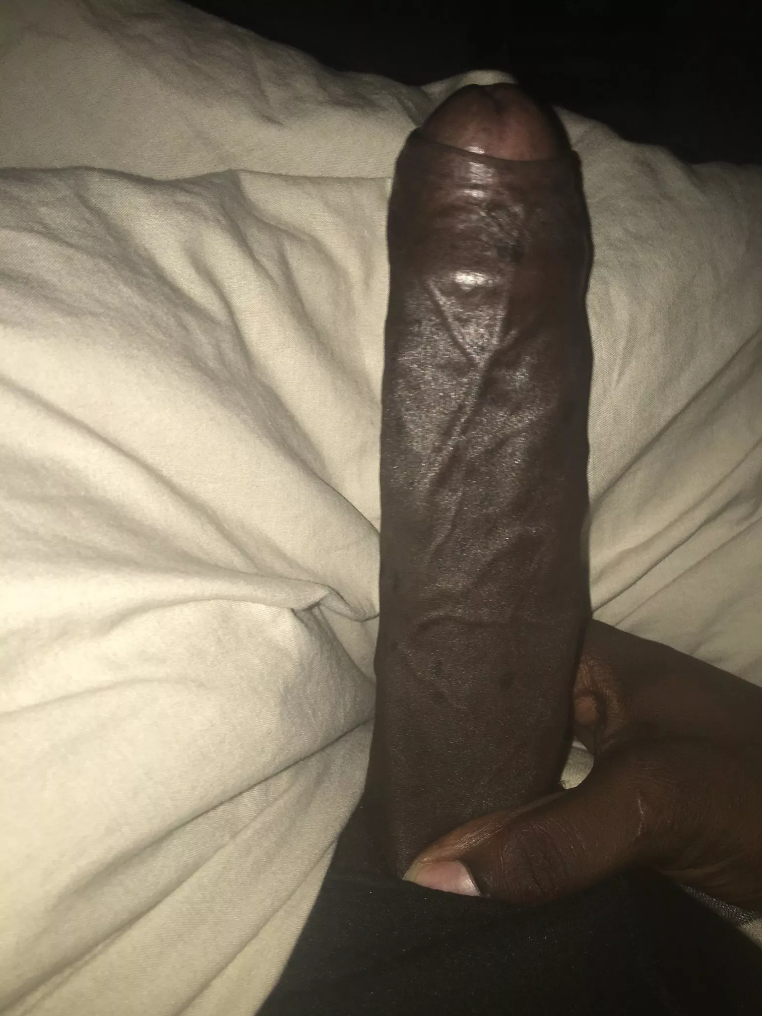 My cock needs some female attention, hmu if you like what you see