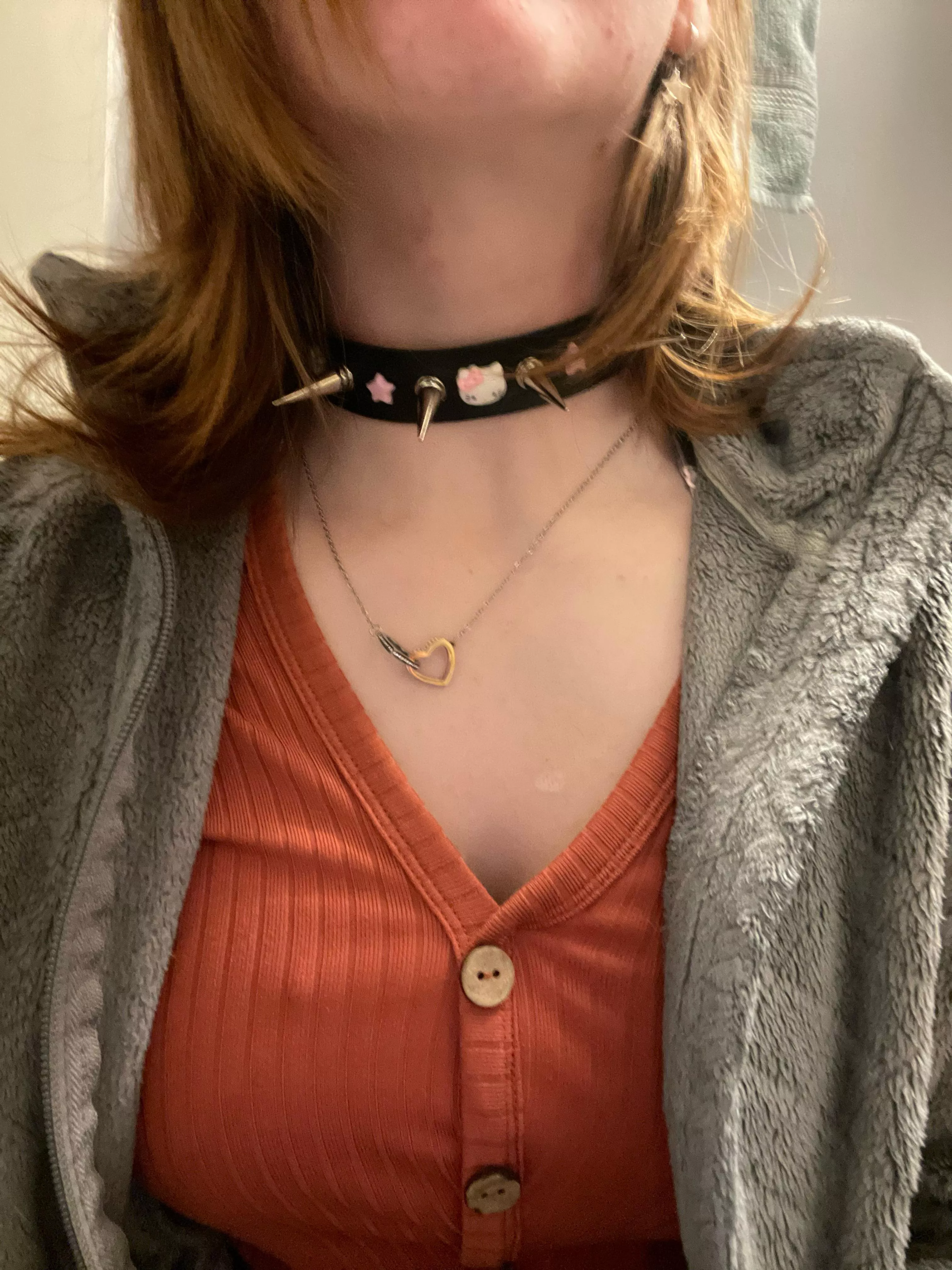 My collar finally arrived in the mail!! Ordered from Etsyâ€¦ Im ecstatic